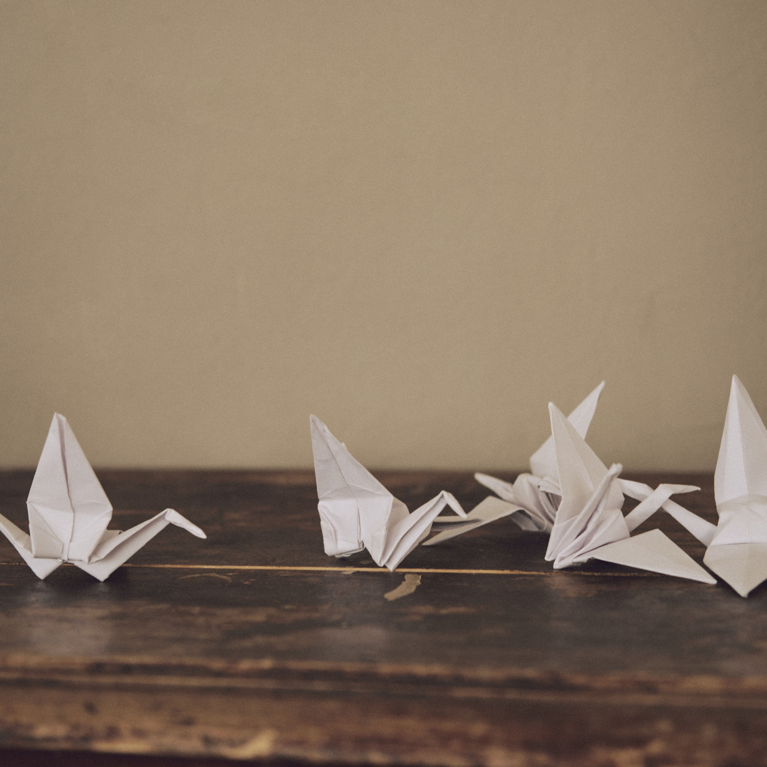 Истории. Ася Ложкина фотограф Ижевск