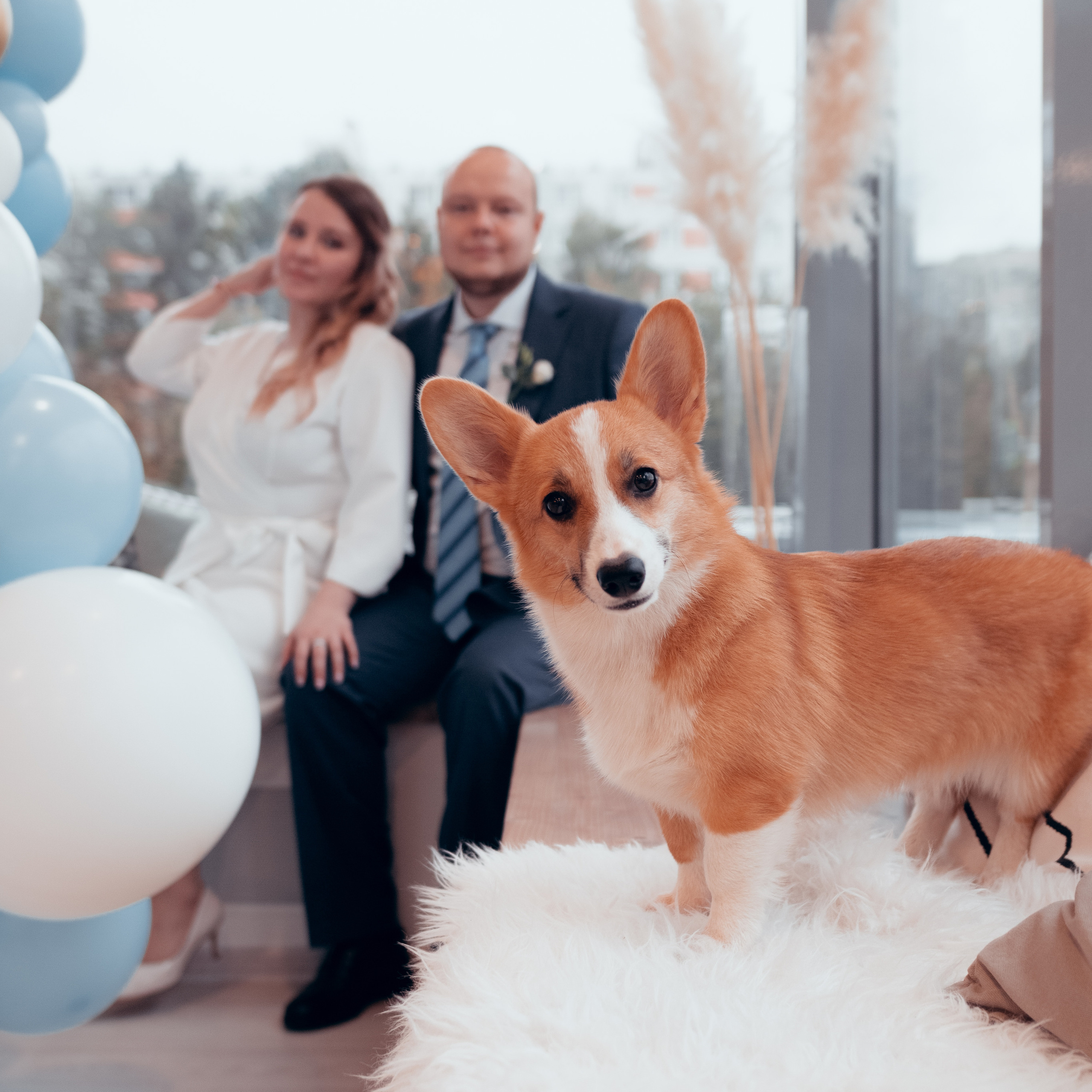 Виктор + Олеся