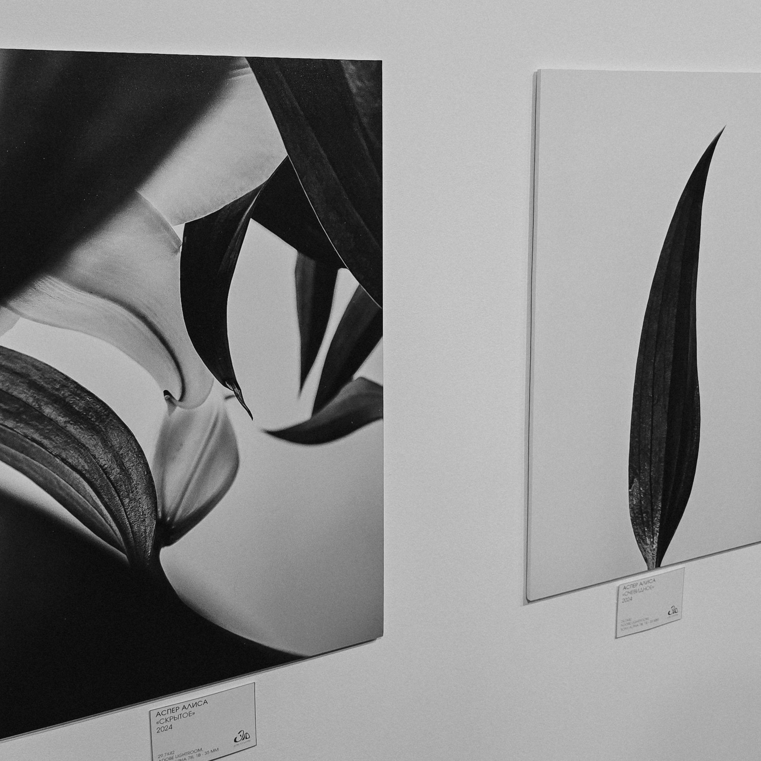 «Люди и растения»