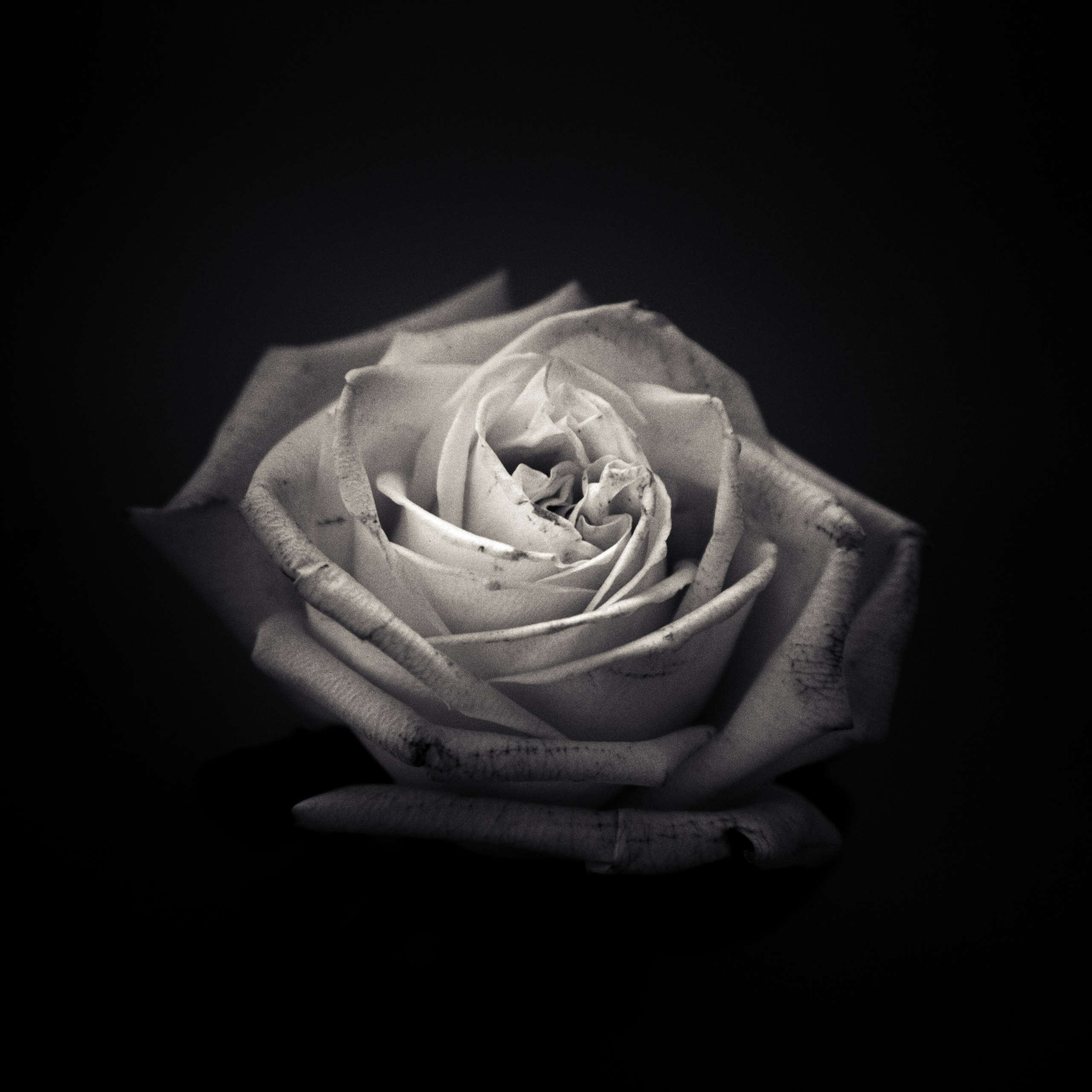 «Люди и растения»