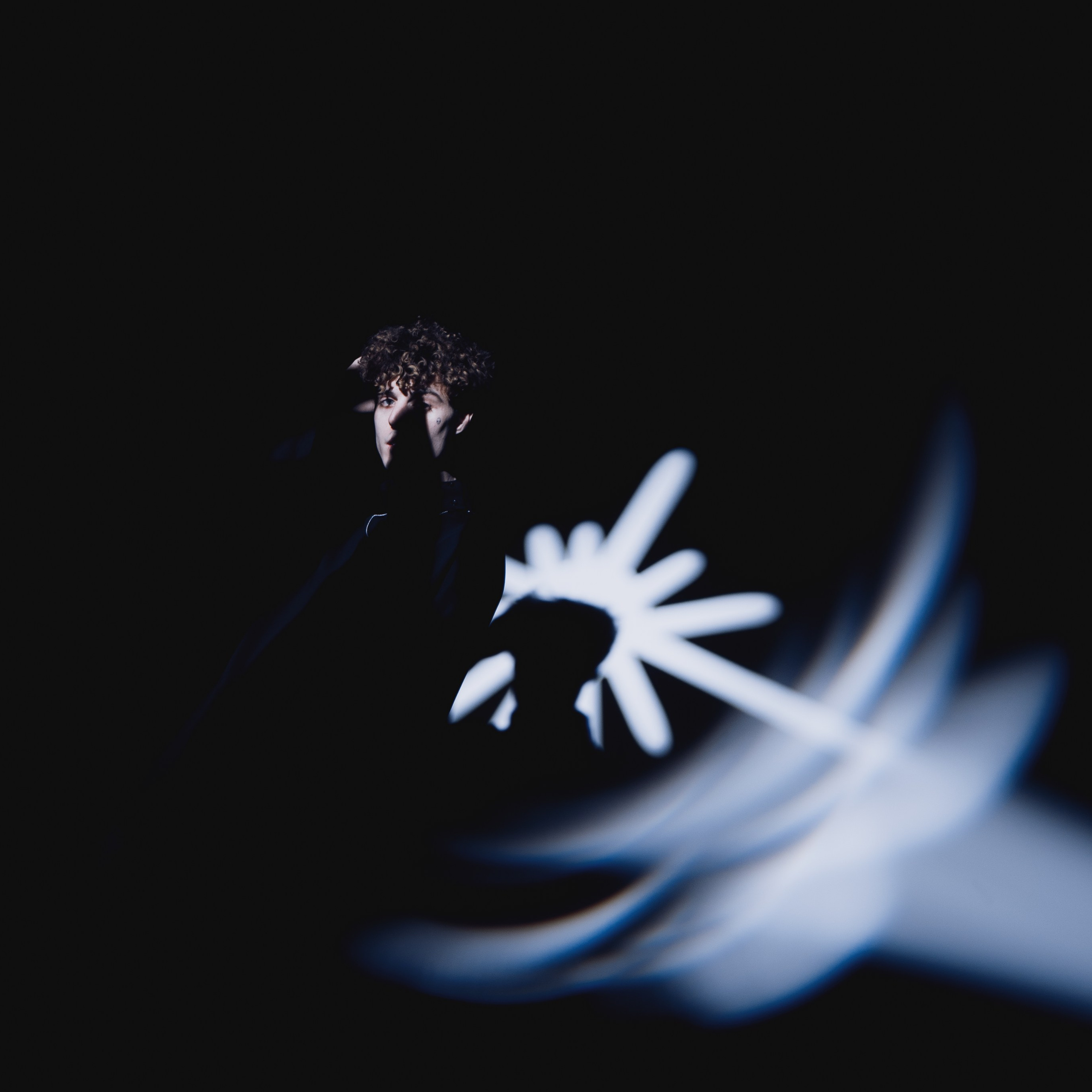 Клипы. Фотограф Алиса Аспер