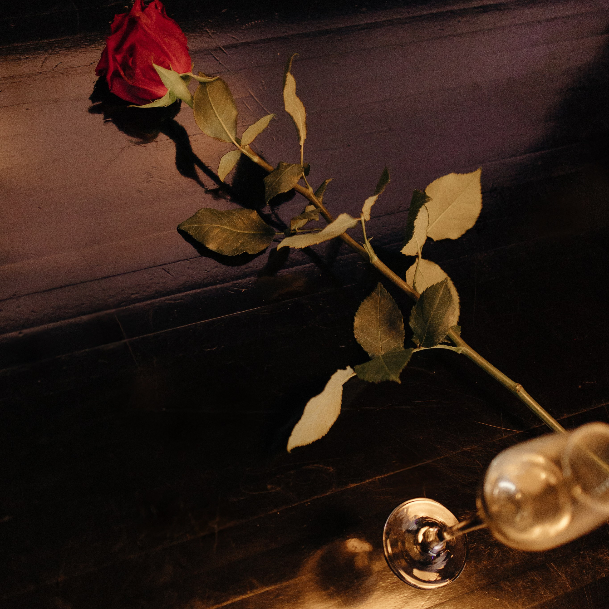 В&nbsp;объятиях роз