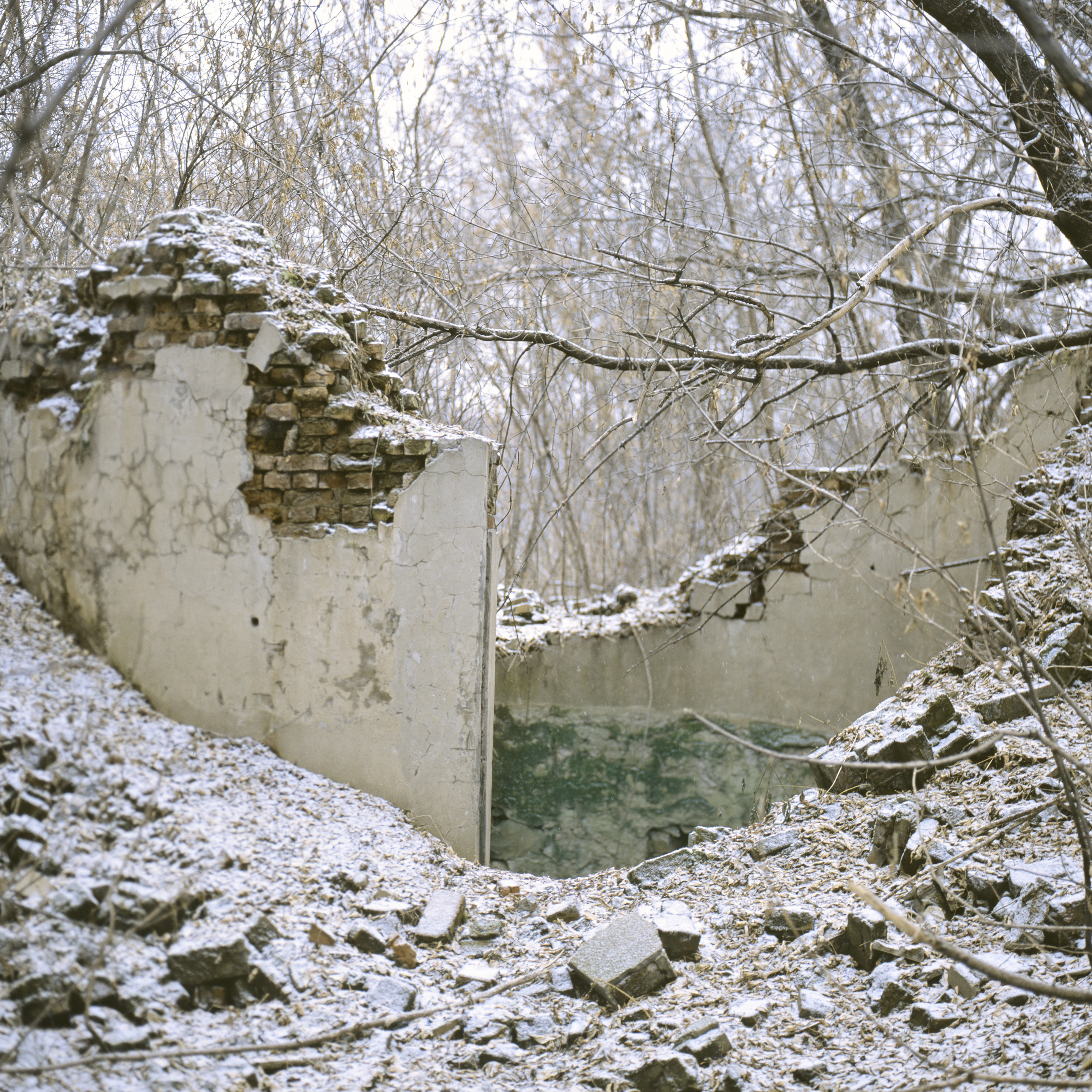 Shards of concrete. Alexander Nikolsky