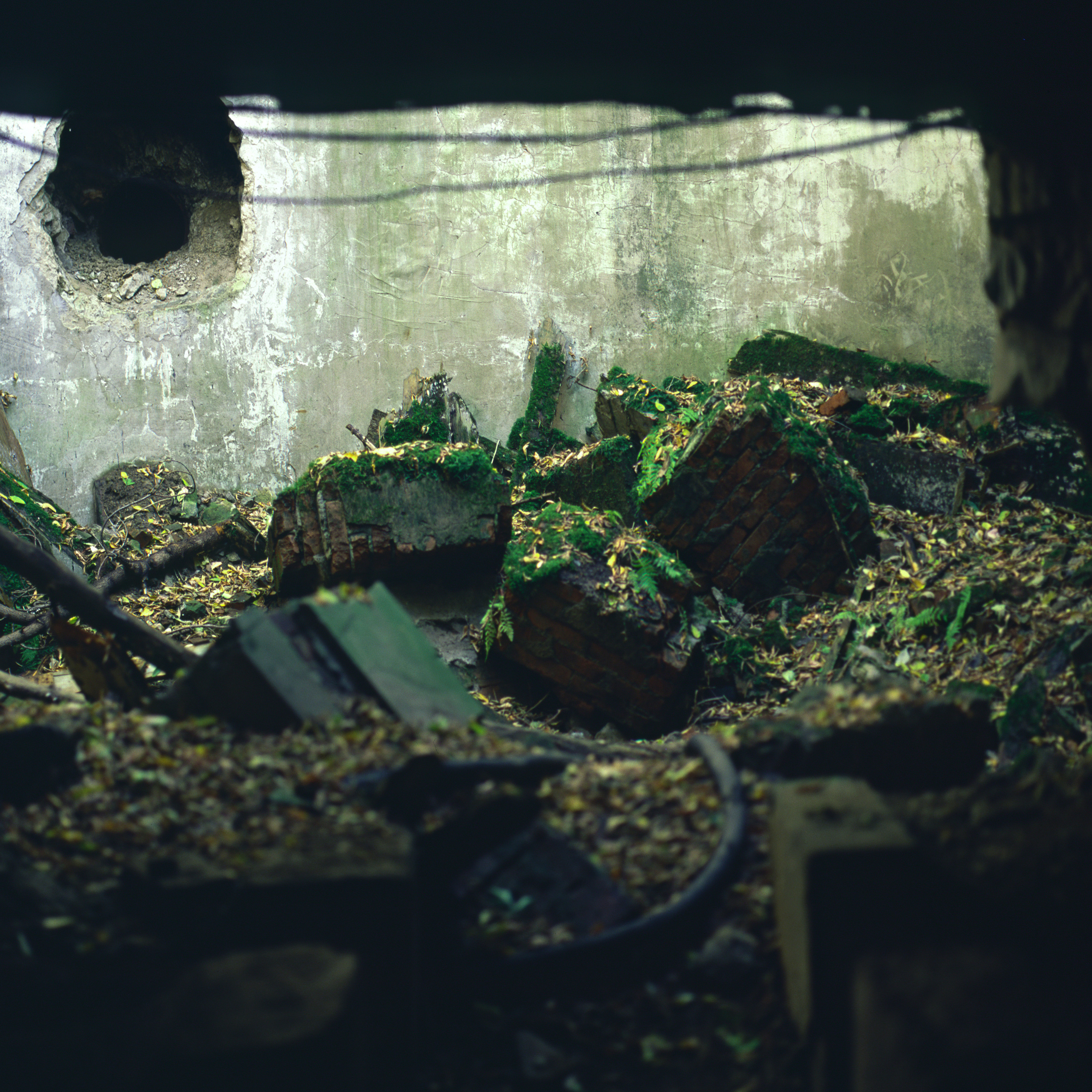 Shards of concrete. Alexander Nikolsky