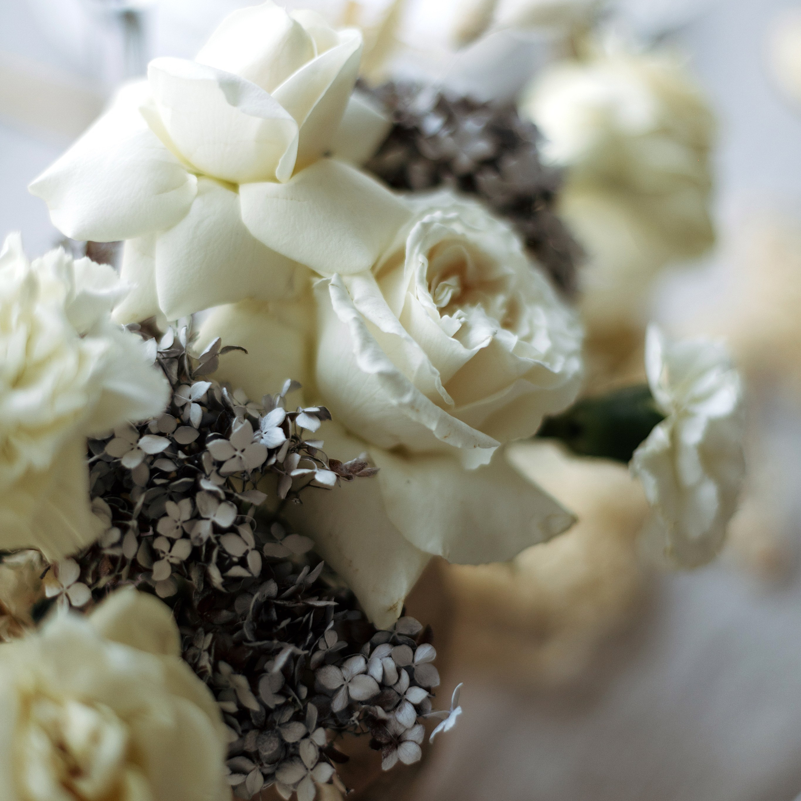 Стелла и Артем. Фотограф Минск — Светлана Жук