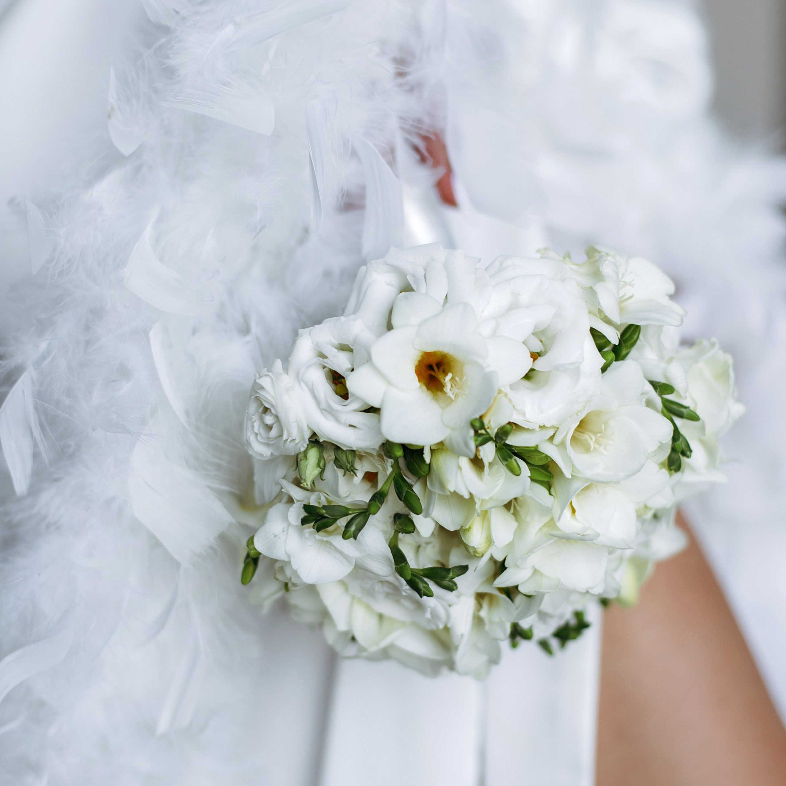 Максим и Виктория. Фотограф Минск — Светлана Жук