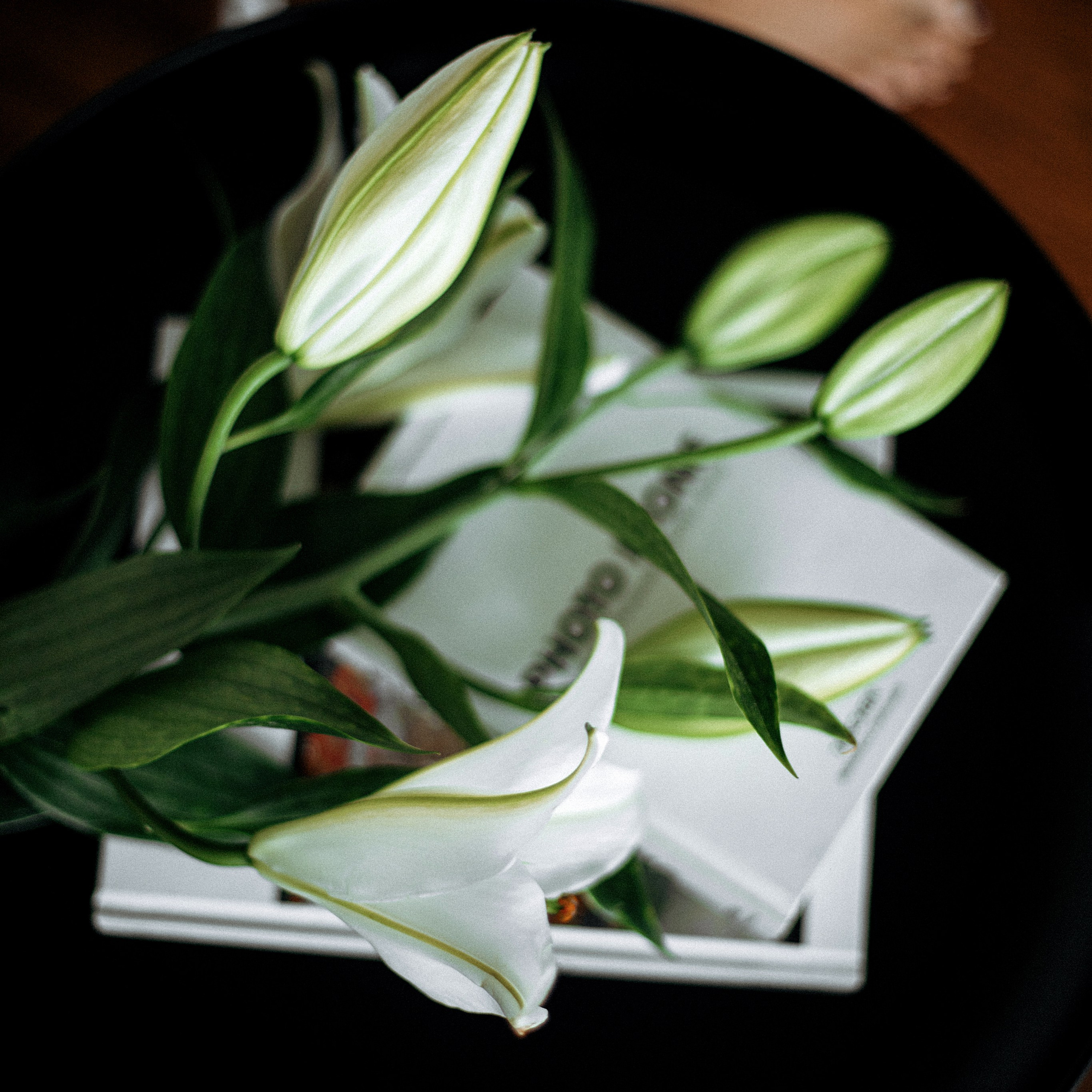 Кристина. Фотограф Минск — Светлана Жук