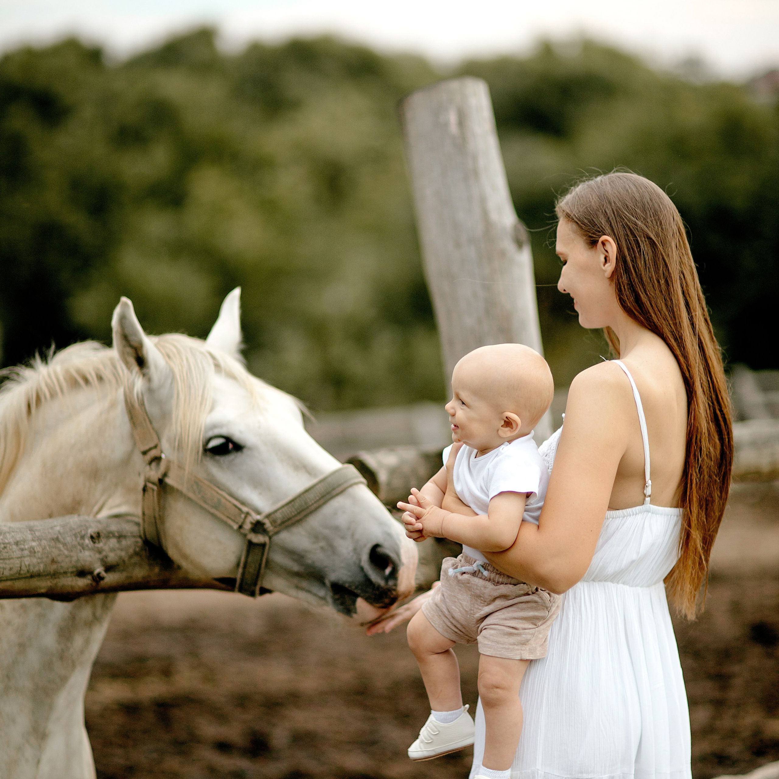 Анастасия и Николай. Фотограф Минск — Светлана Жук