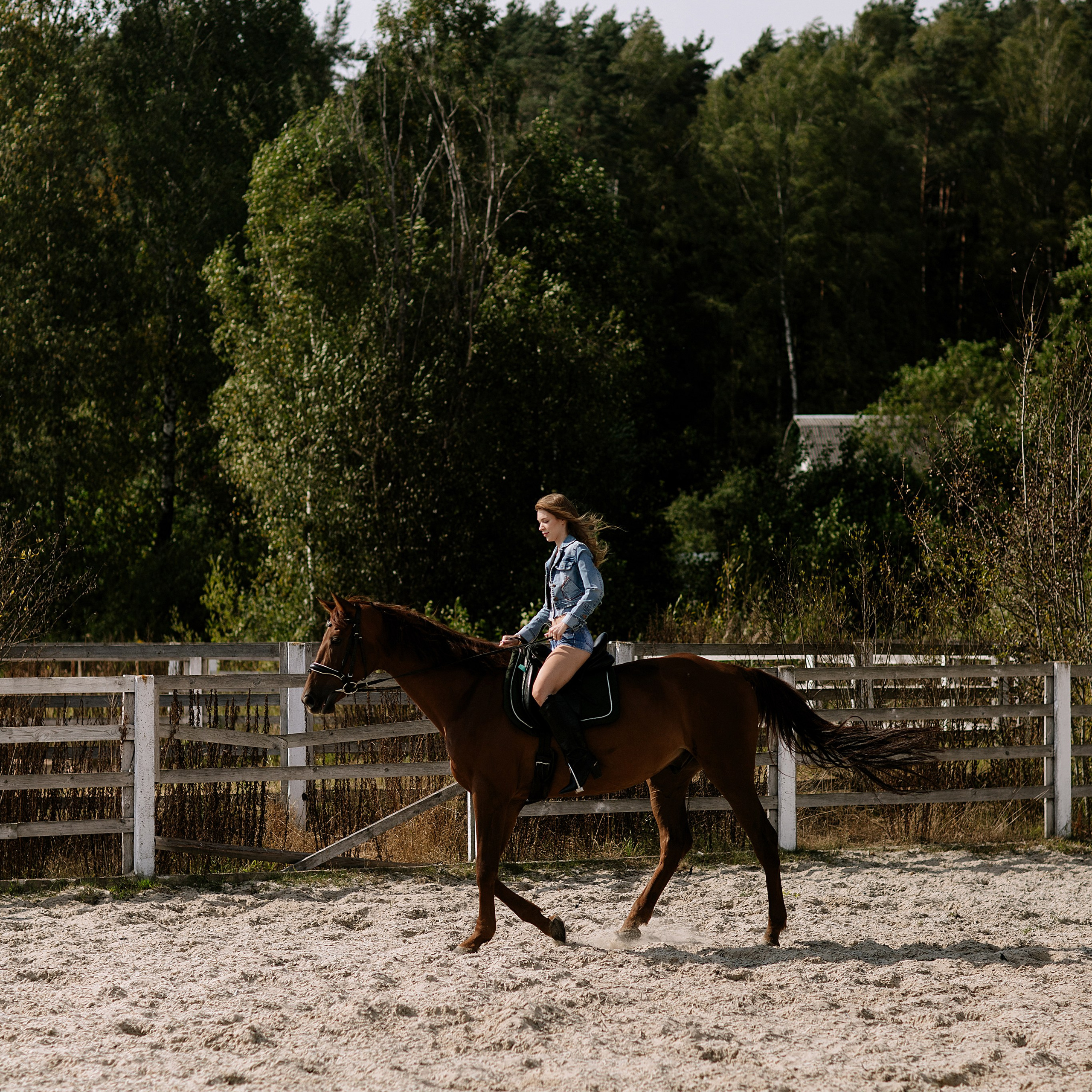Полина. Фотограф Минск — Светлана Жук
