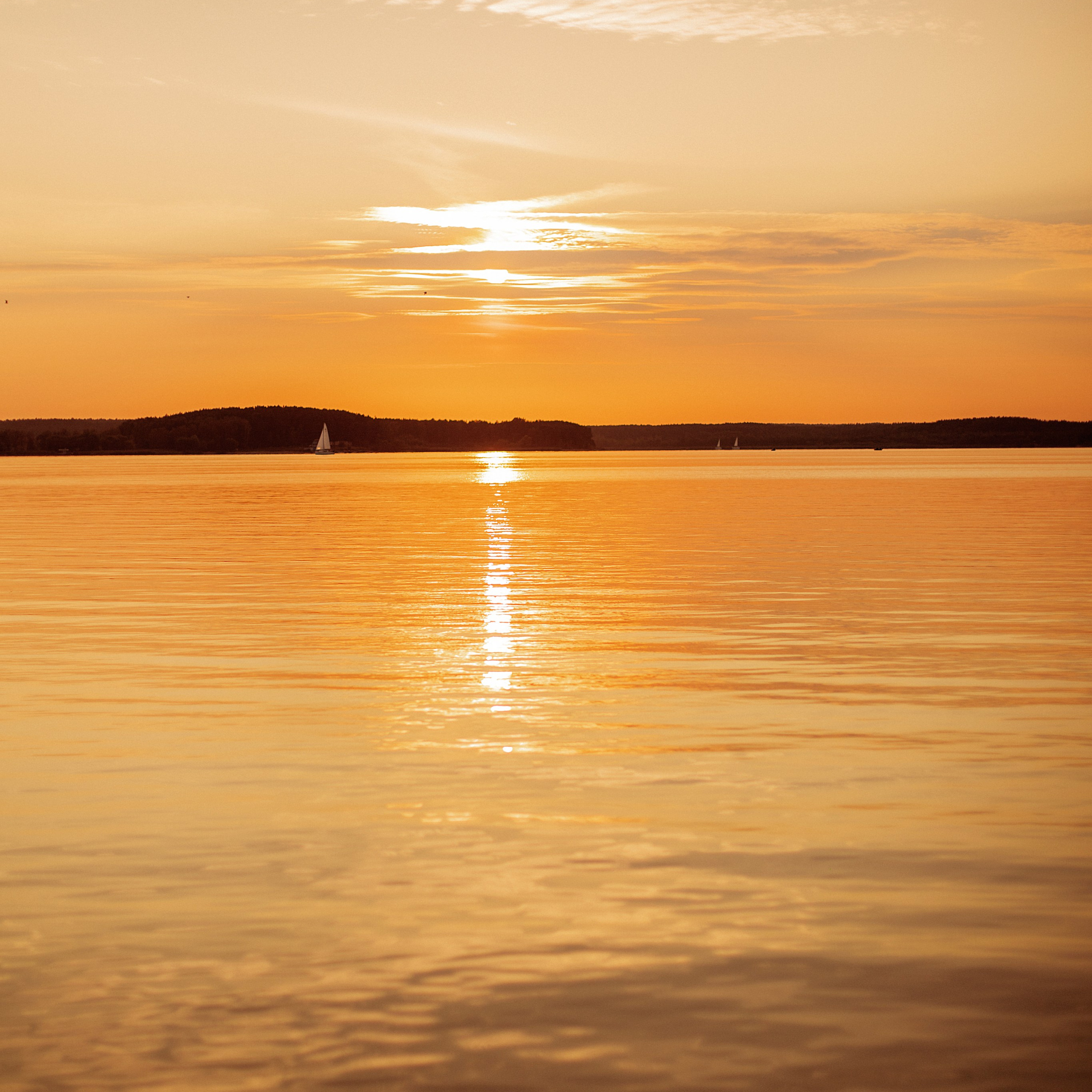 Дарья и Александр. Фотограф Минск — Светлана Жук