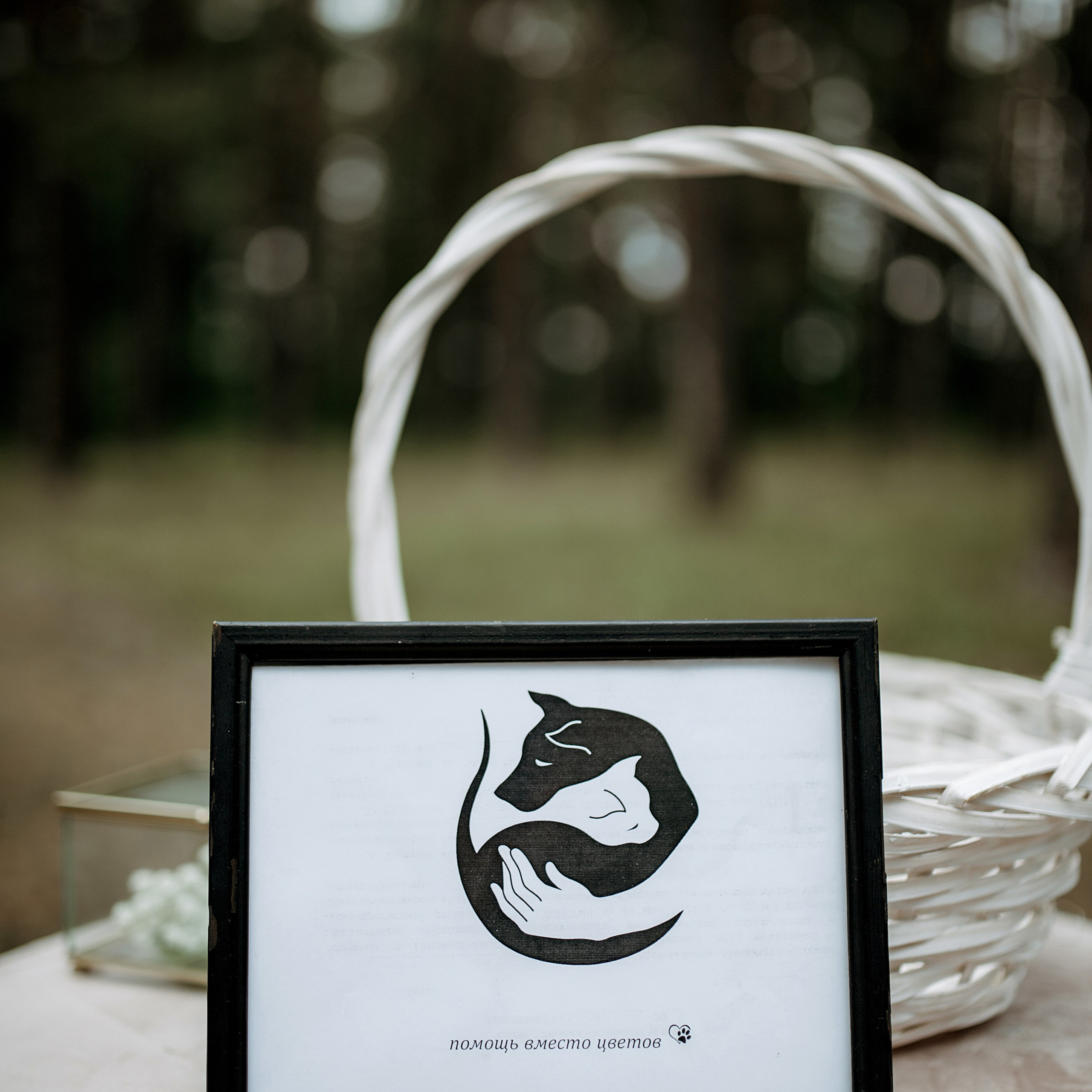 Катя и Артем. Фотограф Минск — Светлана Жук