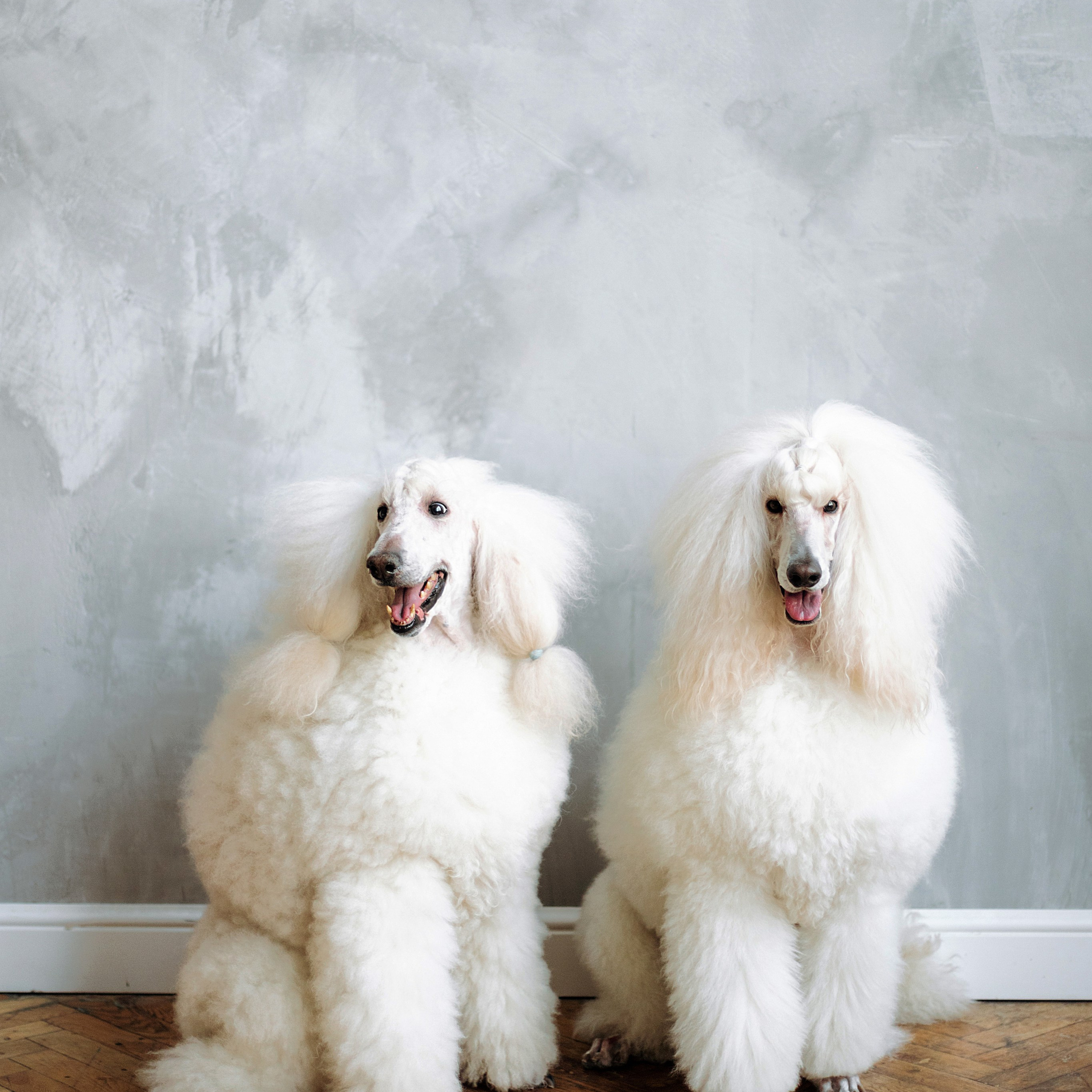 Стелла и Артем. Фотограф Минск — Светлана Жук