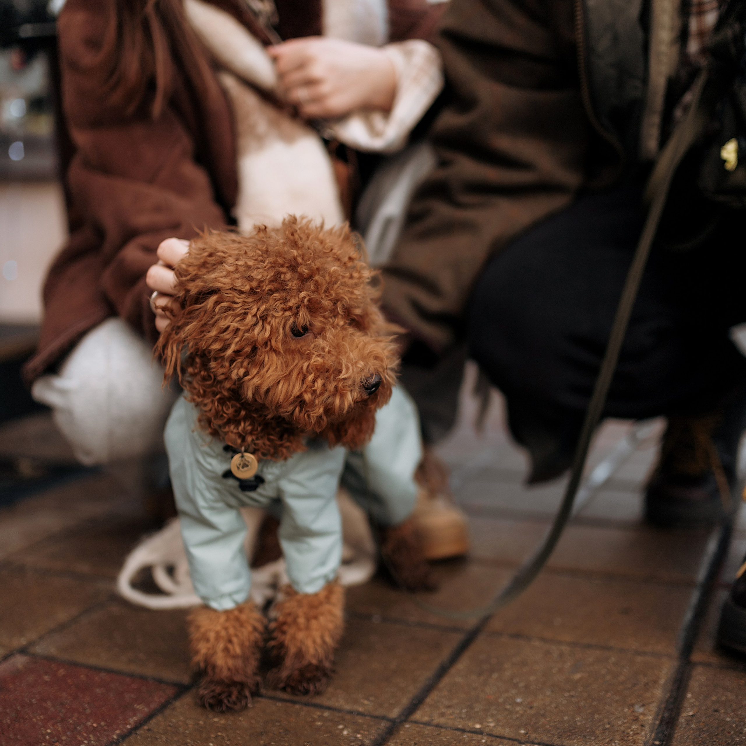 Аня и Рома. Фотограф Минск — Светлана Жук