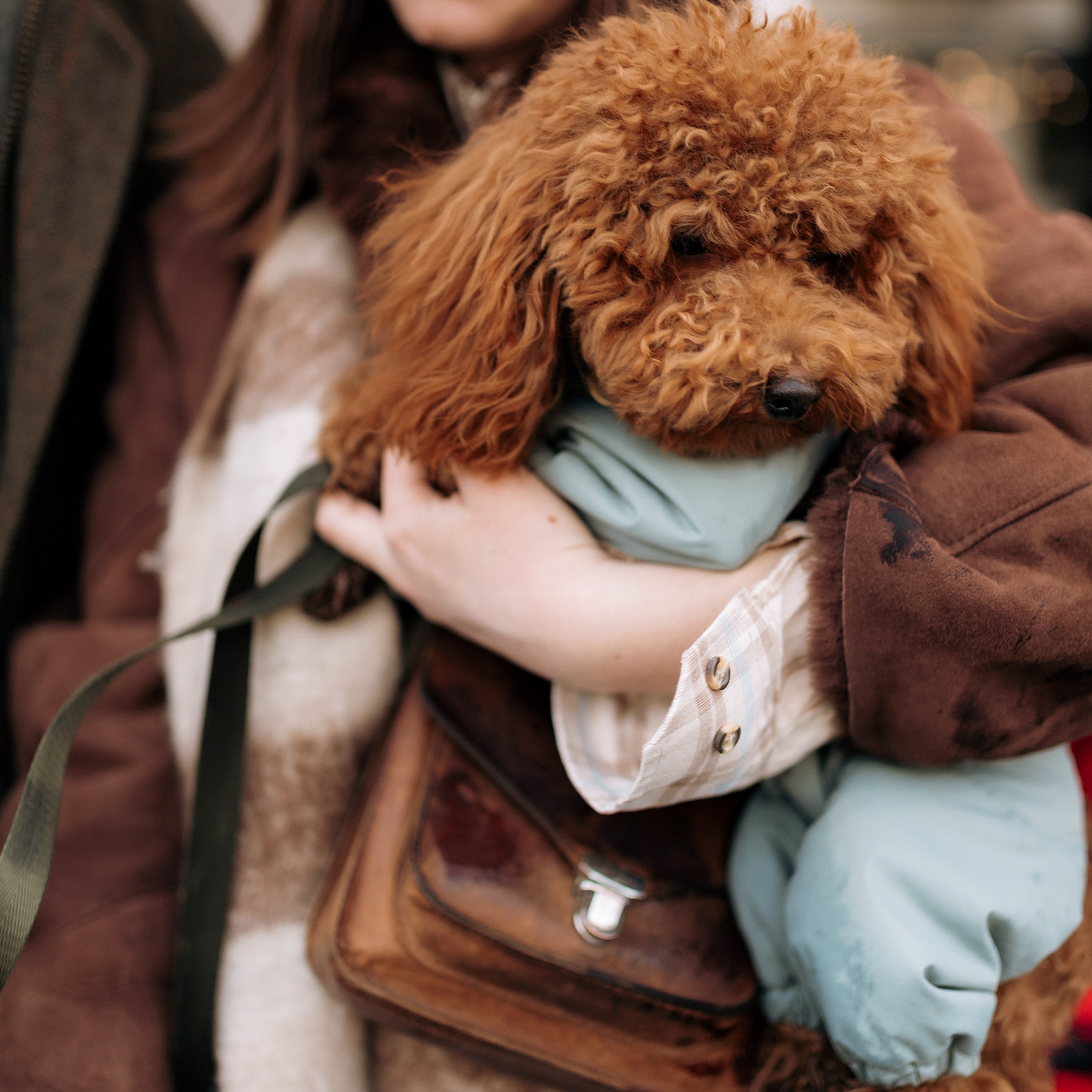 Аня и Рома. Фотограф Минск — Светлана Жук