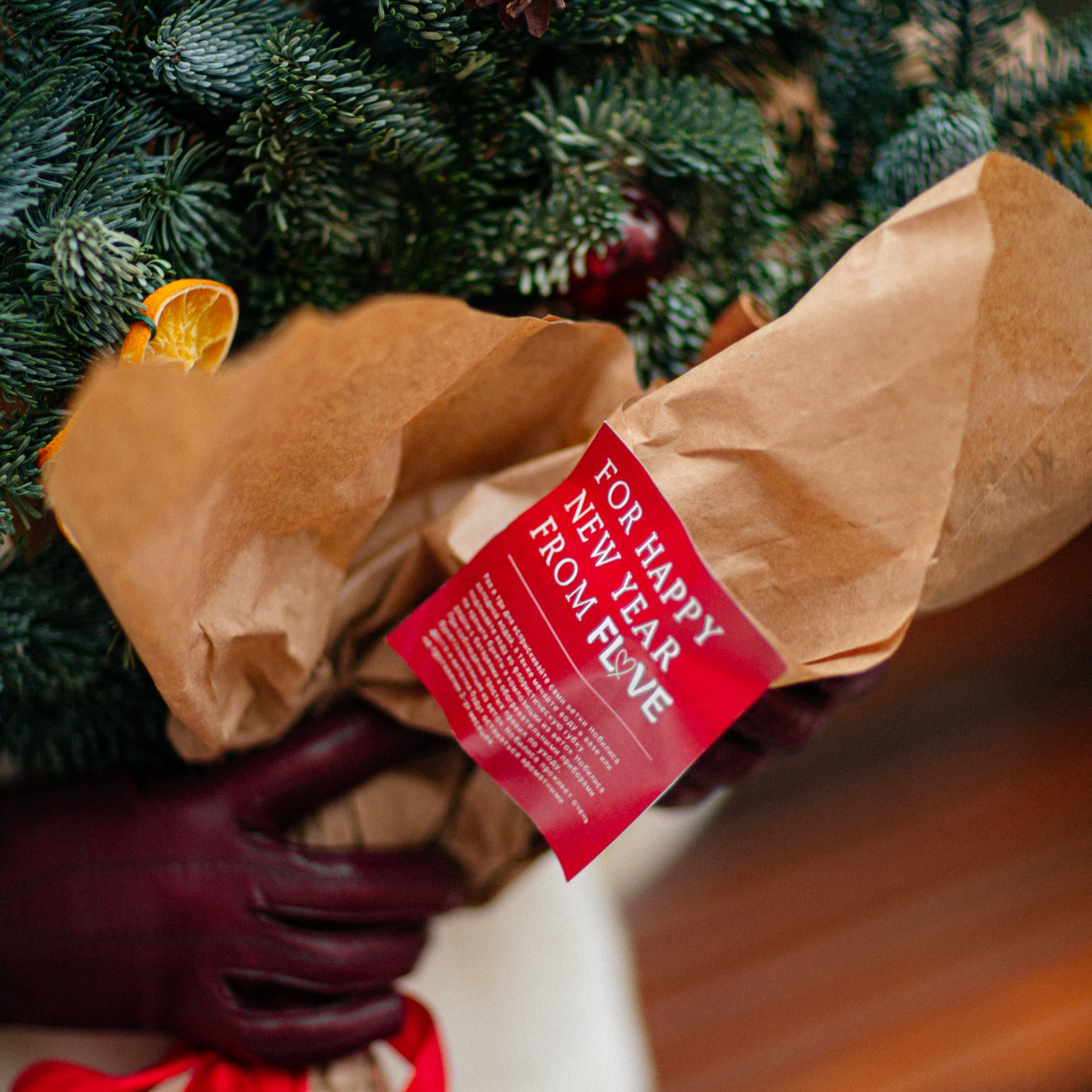 Лидия. Фотограф Минск — Светлана Жук