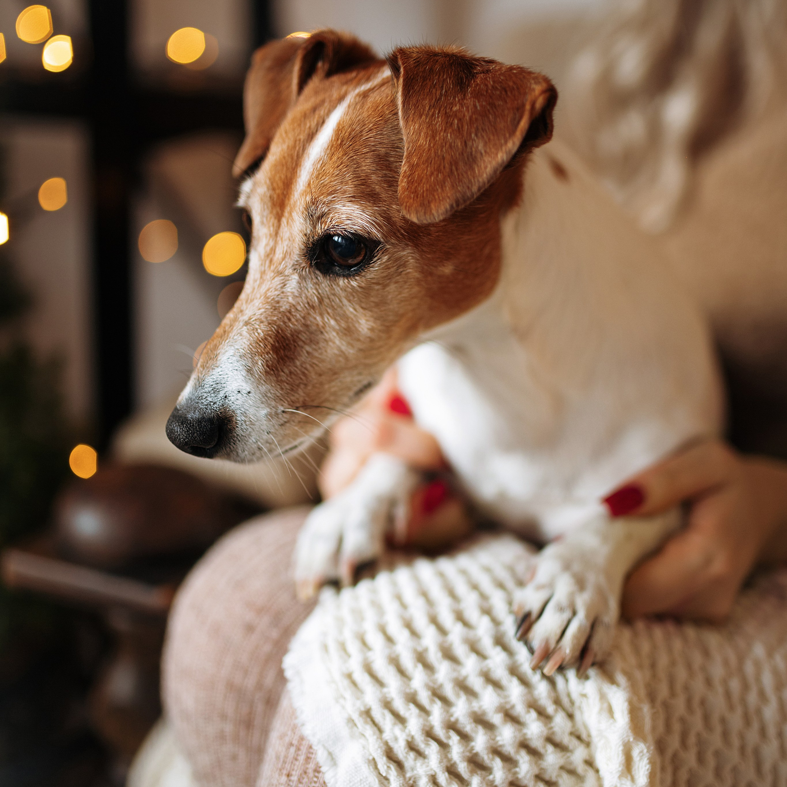 Вия. Фотограф Минск — Светлана Жук