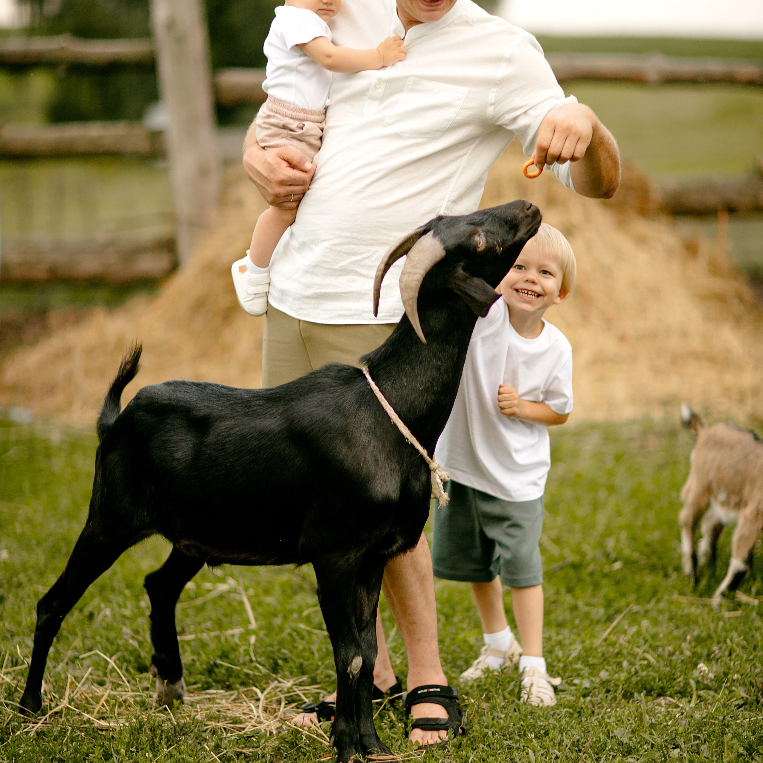 Анастасия и Николай. Фотограф Минск — Светлана Жук