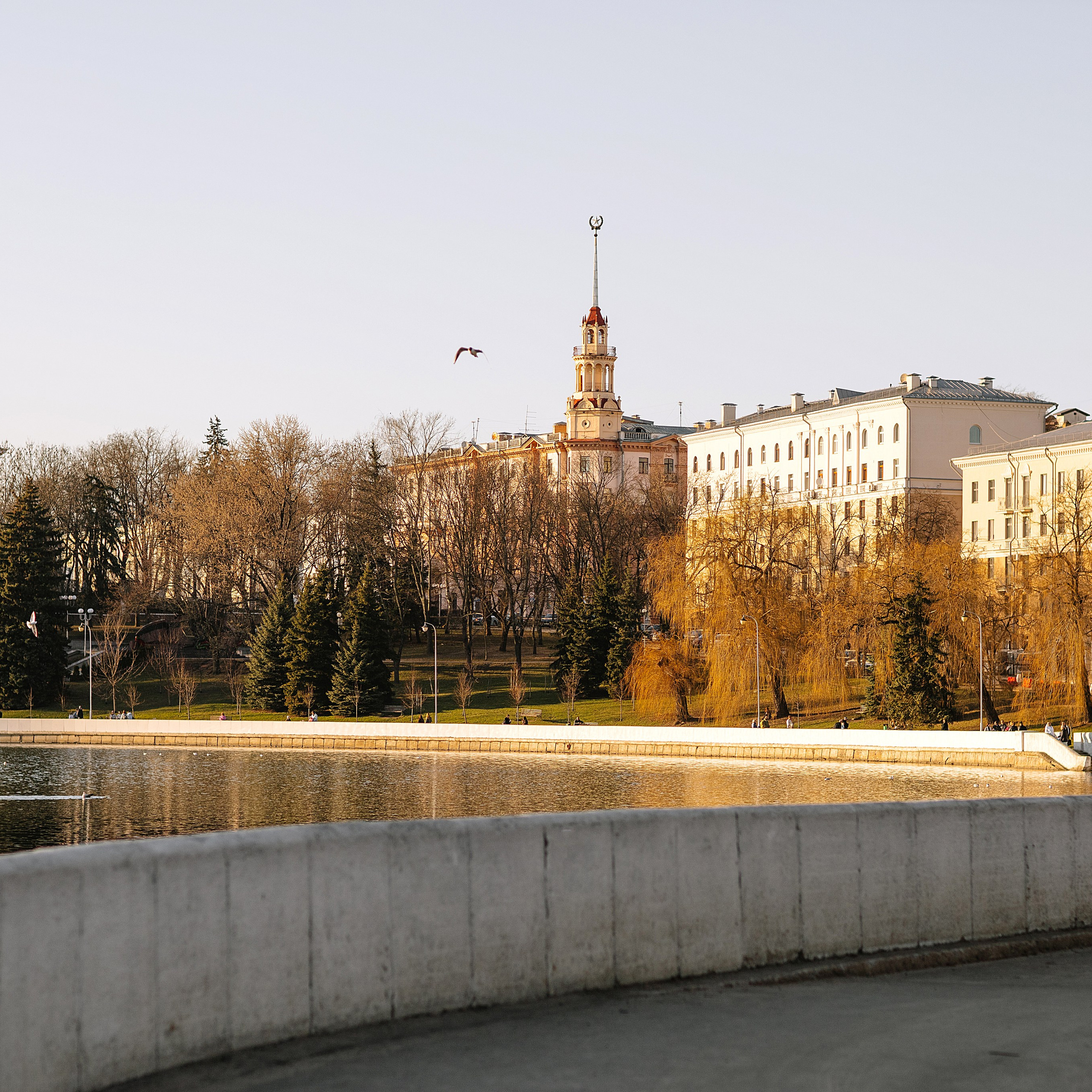 Александра. Фотограф Минск — Светлана Жук