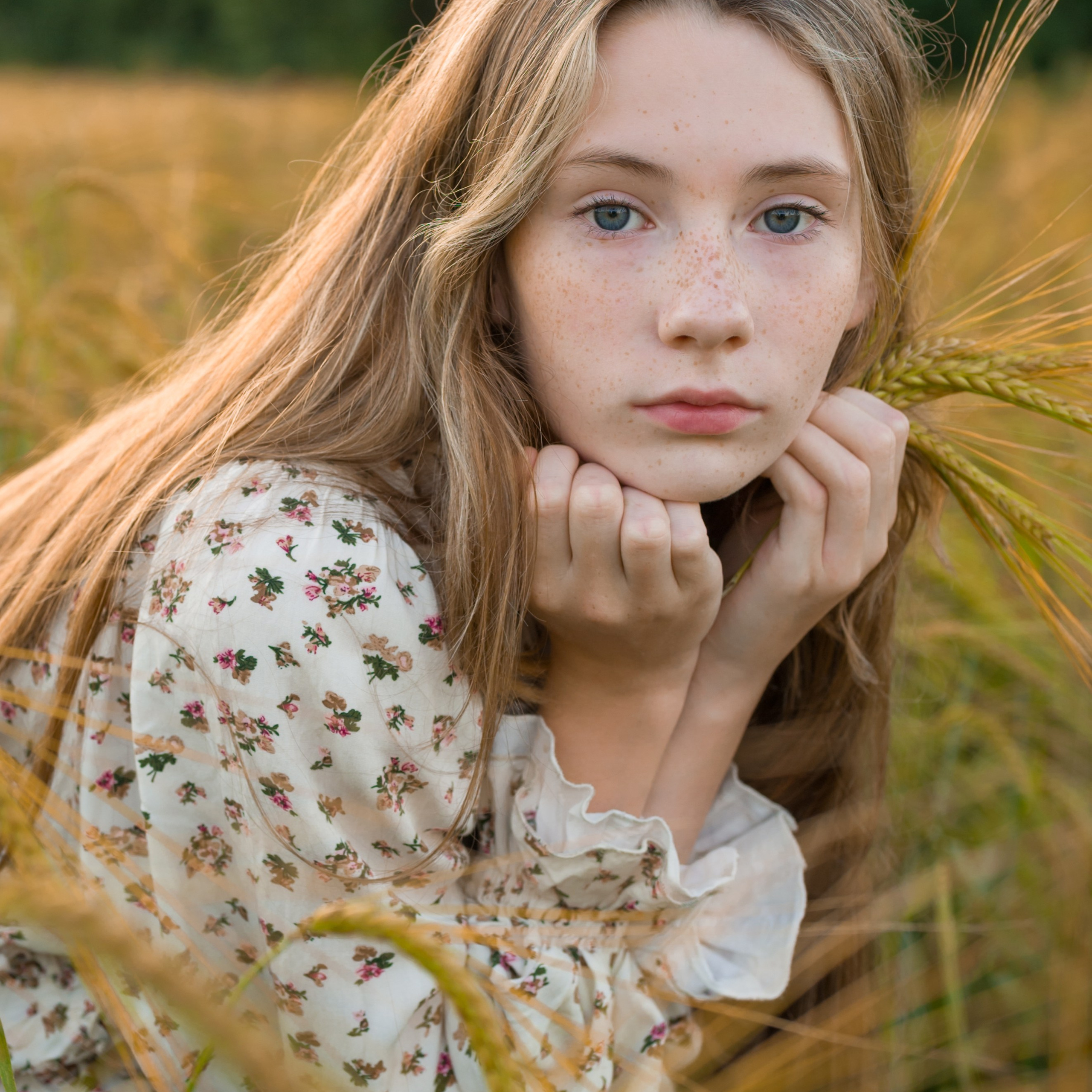Лето. Пшеничное поле.