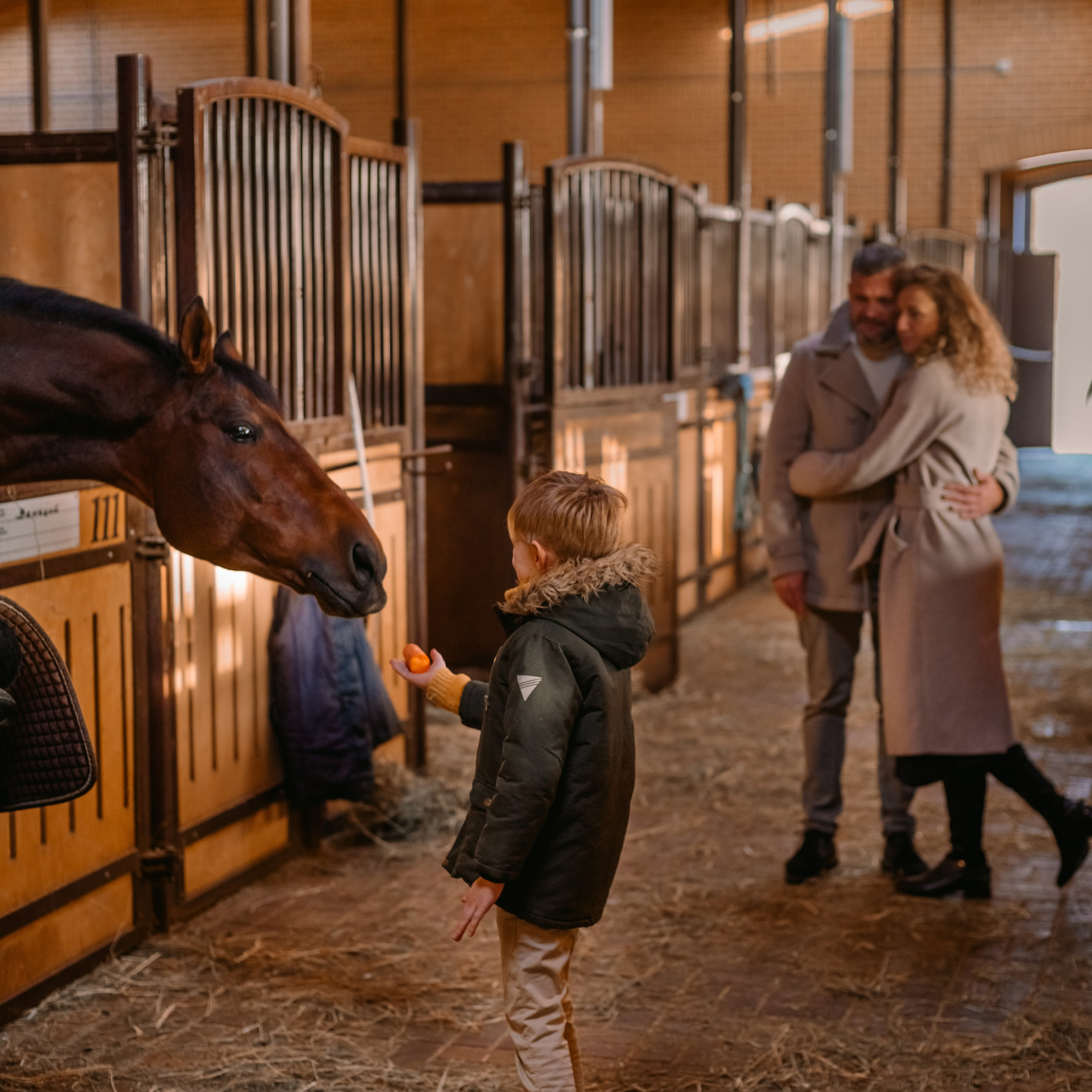Осень. Парк. Конюшня.