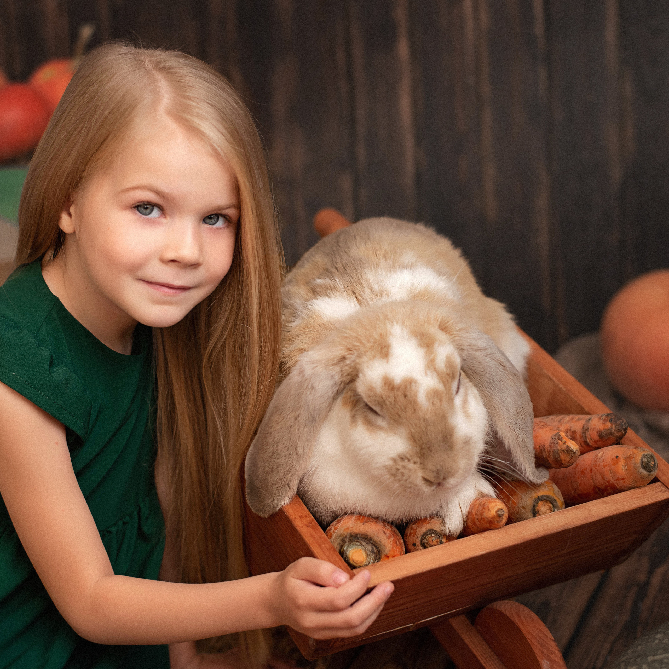 Отзывы. Фотограф новорожденных. Йошкар-Ола