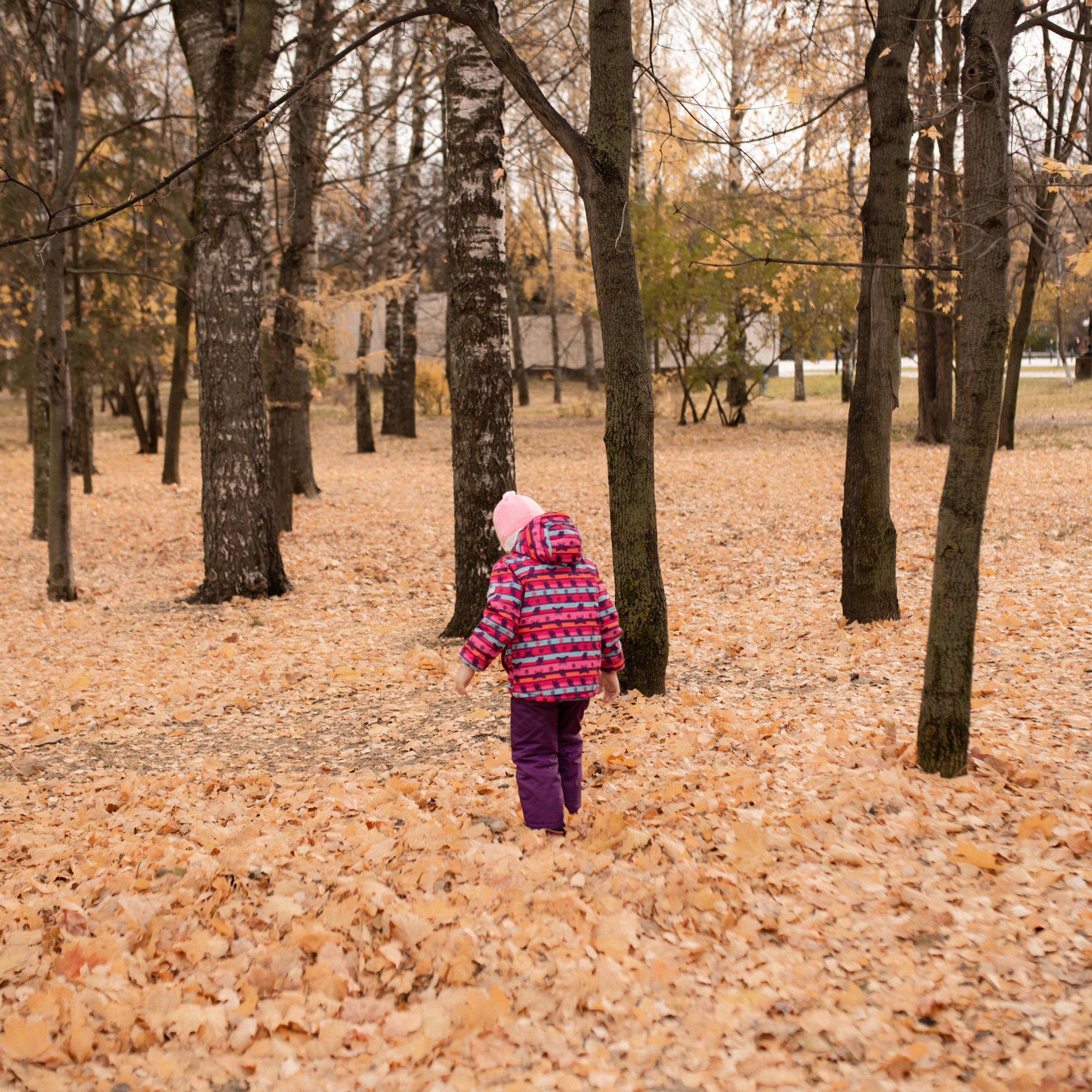 Отзывы. Фотограф новорожденных. Йошкар-Ола