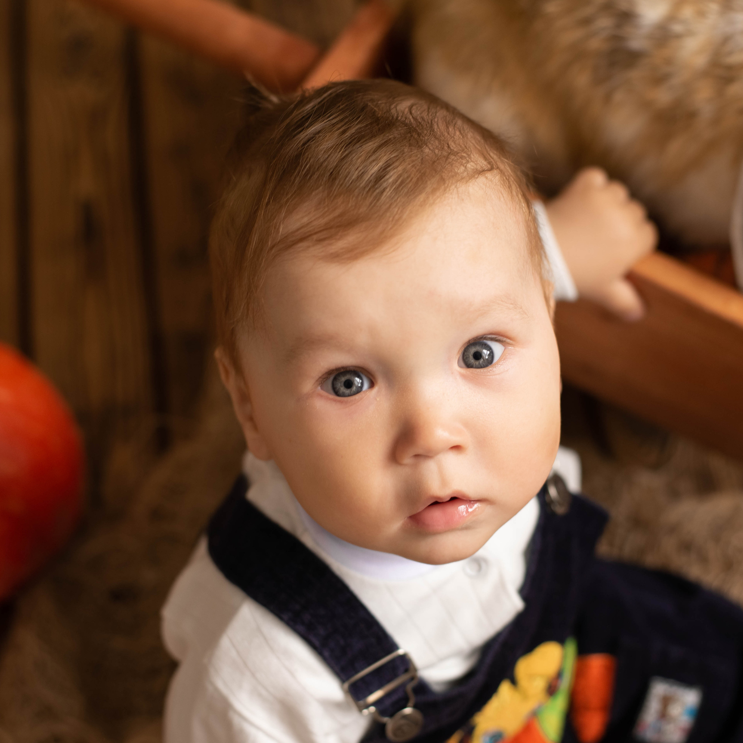 Отзывы. Фотограф новорожденных. Йошкар-Ола