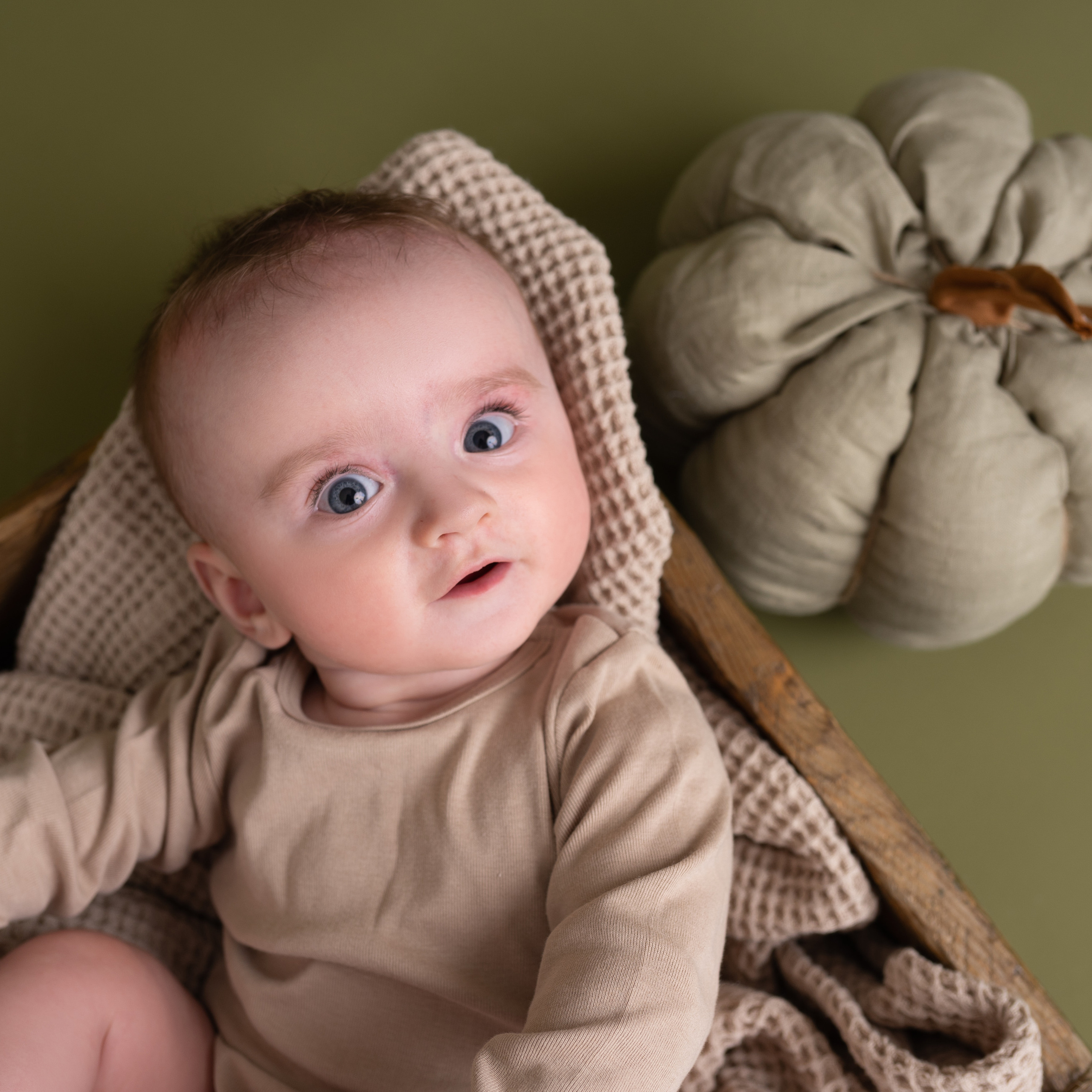 Отзывы. Фотограф новорожденных в Москве Щелково и МО Ангелина Энговатова