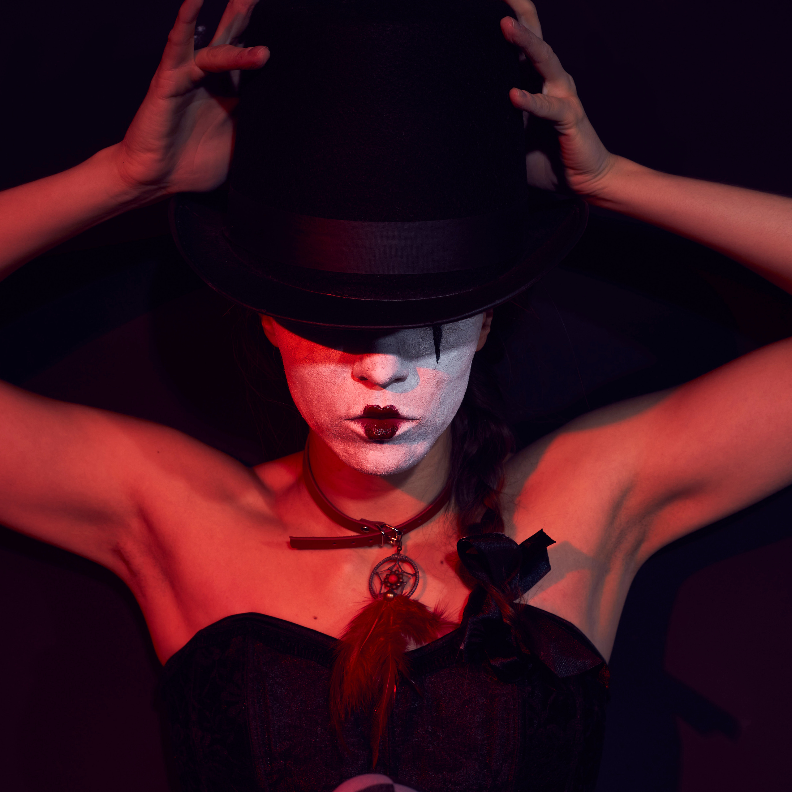 Red Wings of Twilight