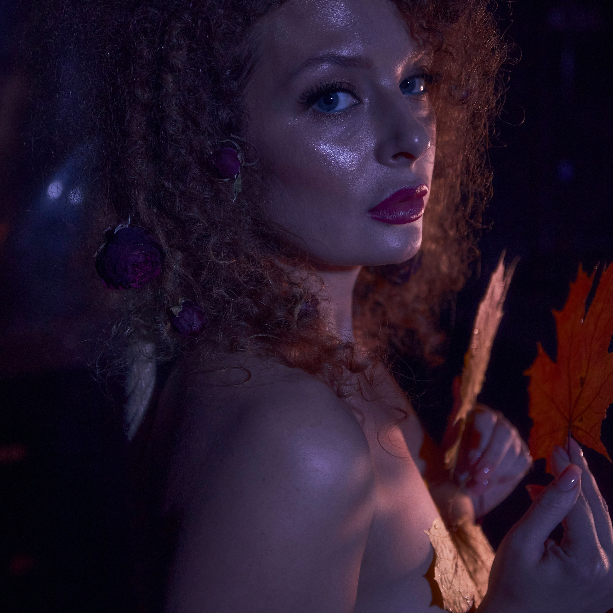 Autumn Colors of Bordeaux