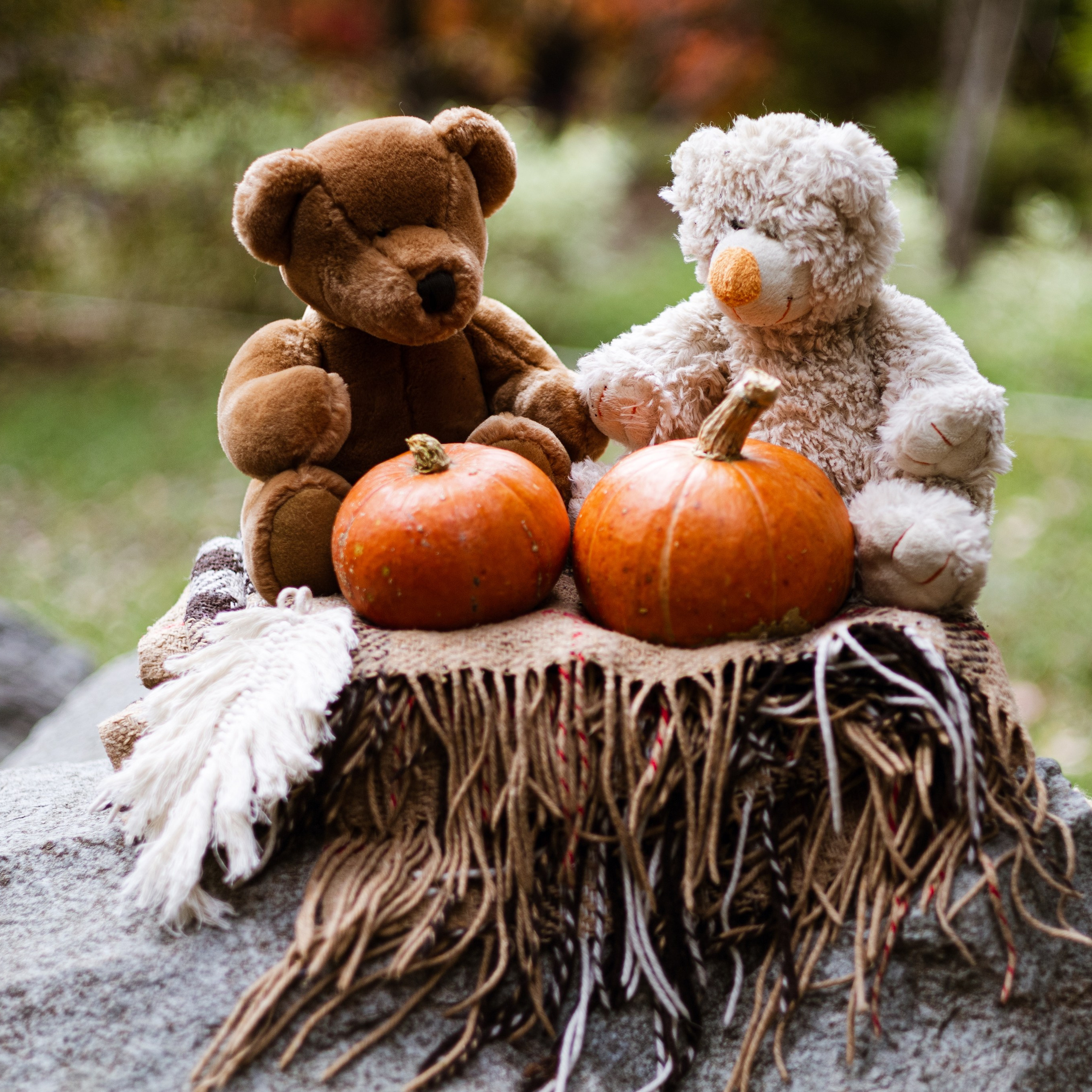 Отзывы. Фотограф во Владивостоке Татьяна Самойленко