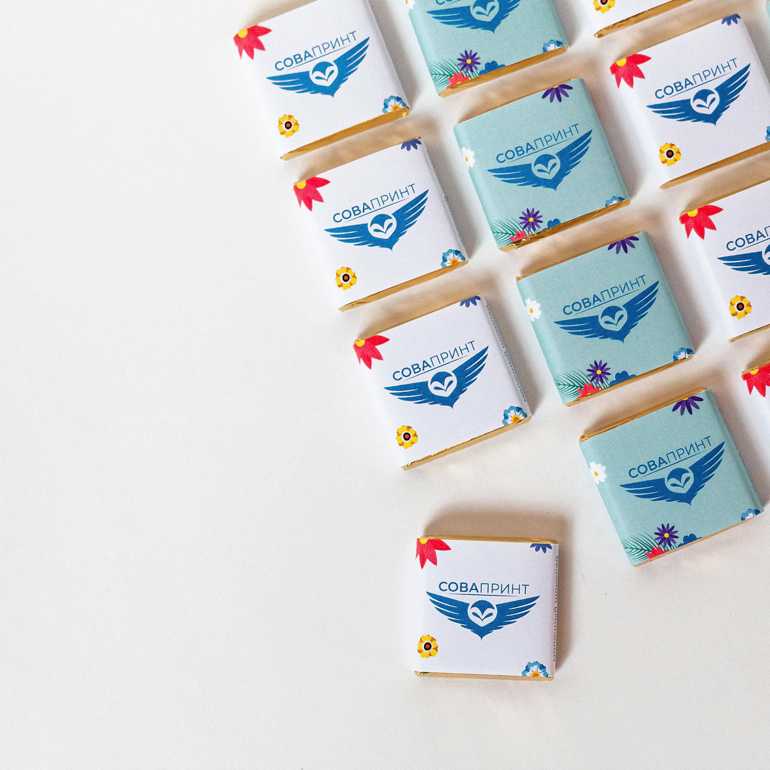 Отзывы. Семейный фотограф в Минске Приболовец Светлана