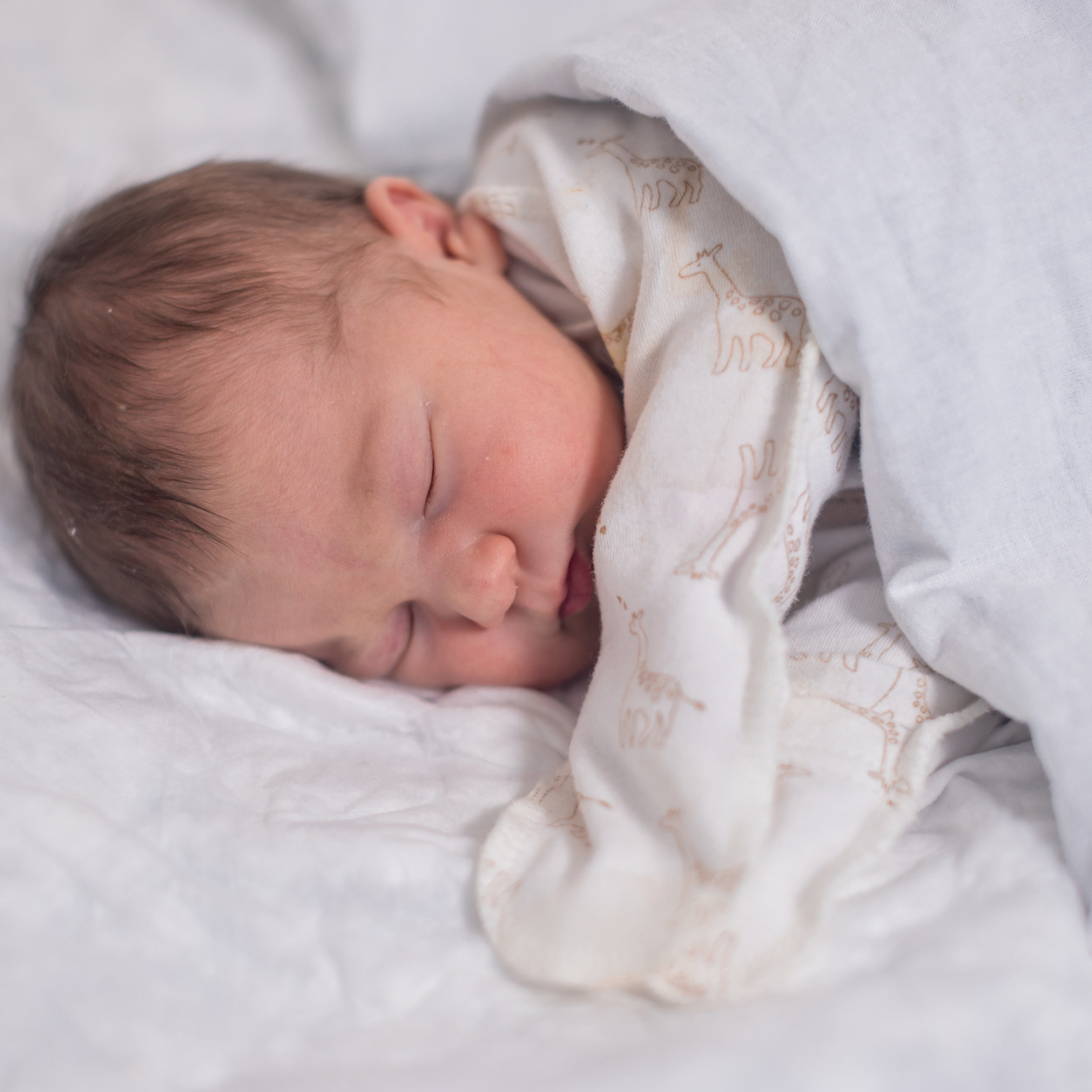 Отзывы. Детская фото и видео съёмка