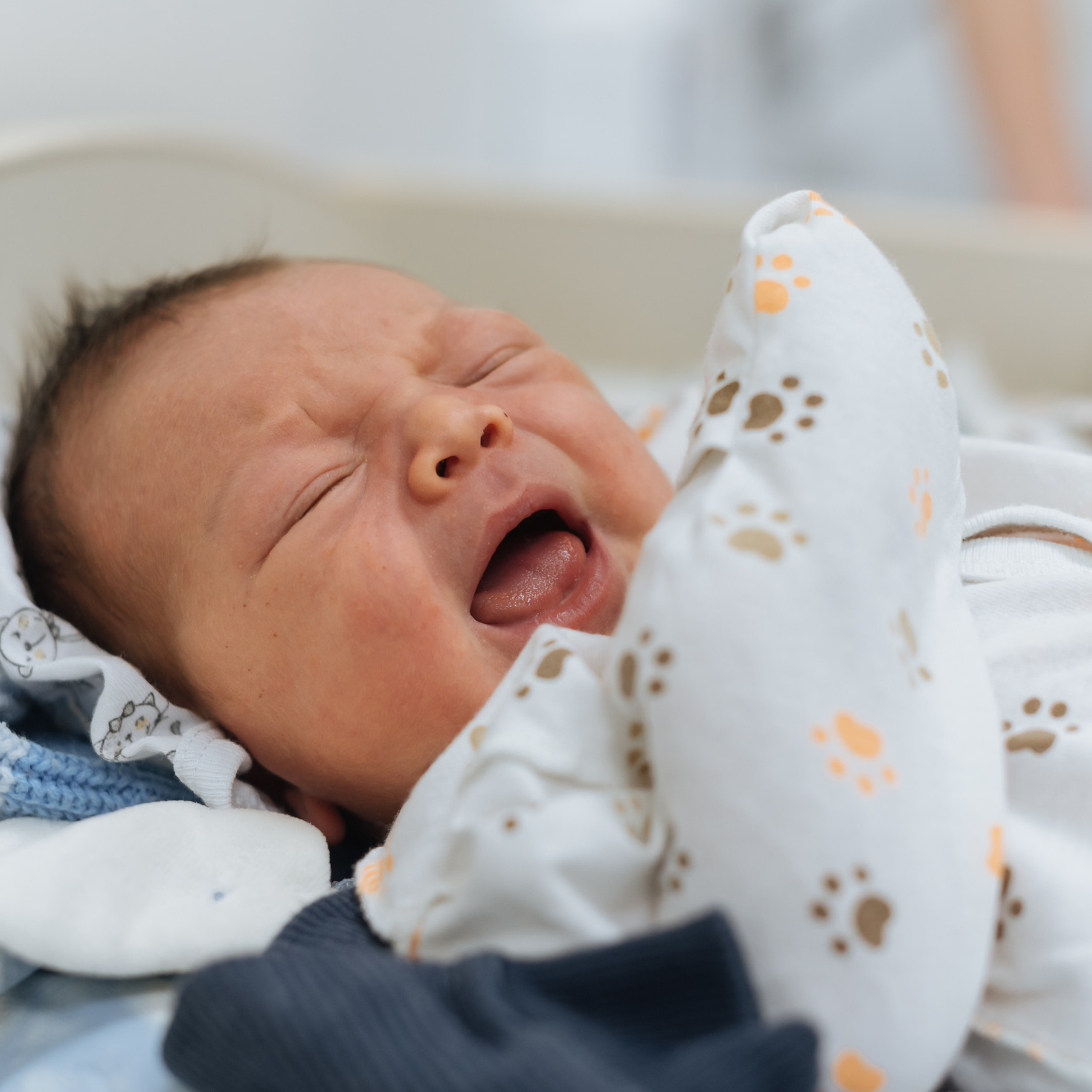 Отзывы. Детская фото и видео съёмка