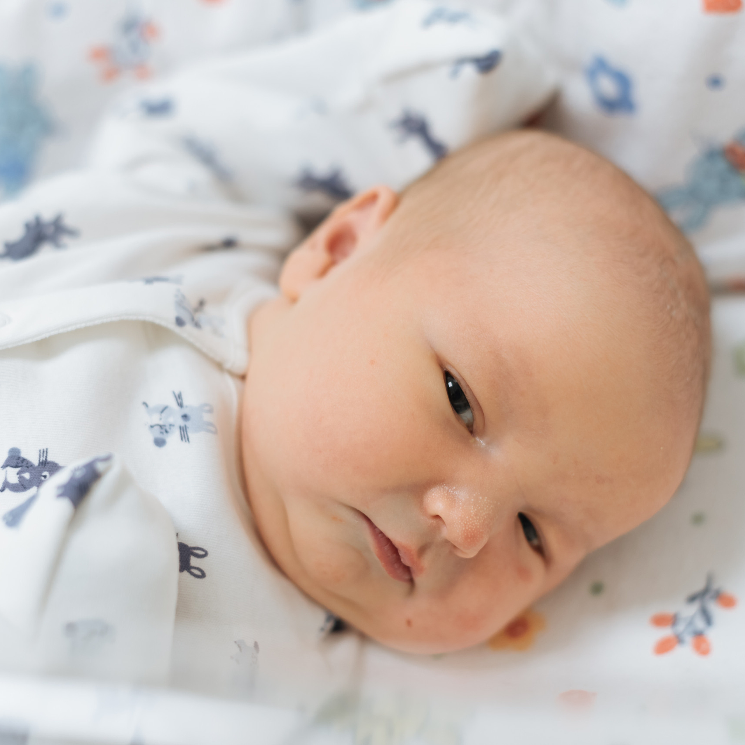 Отзывы. Детская фото и видео съёмка