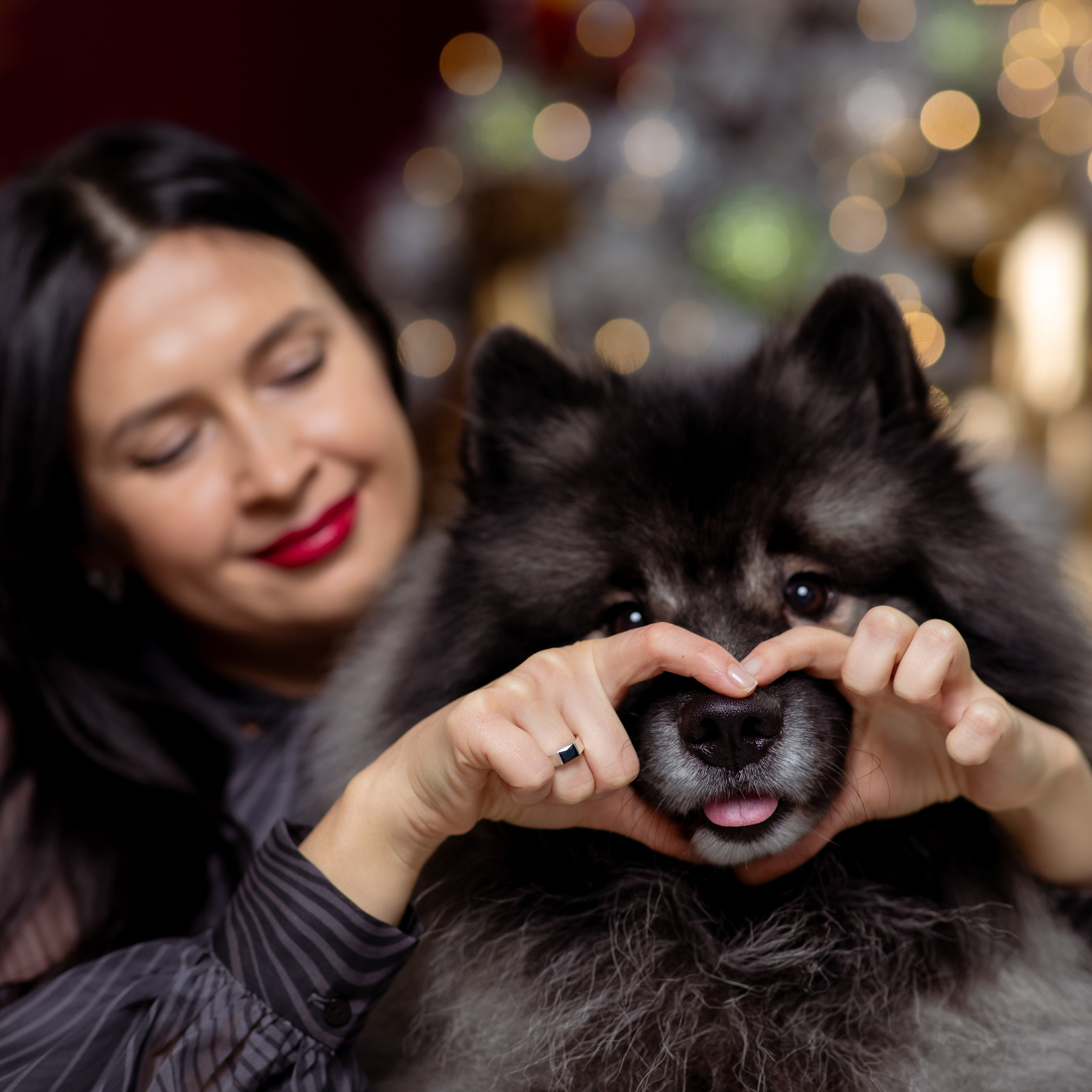 ФОТОЗОНА В САЛОНЕ СТРИЖКИ ЖИВОТНЫХ