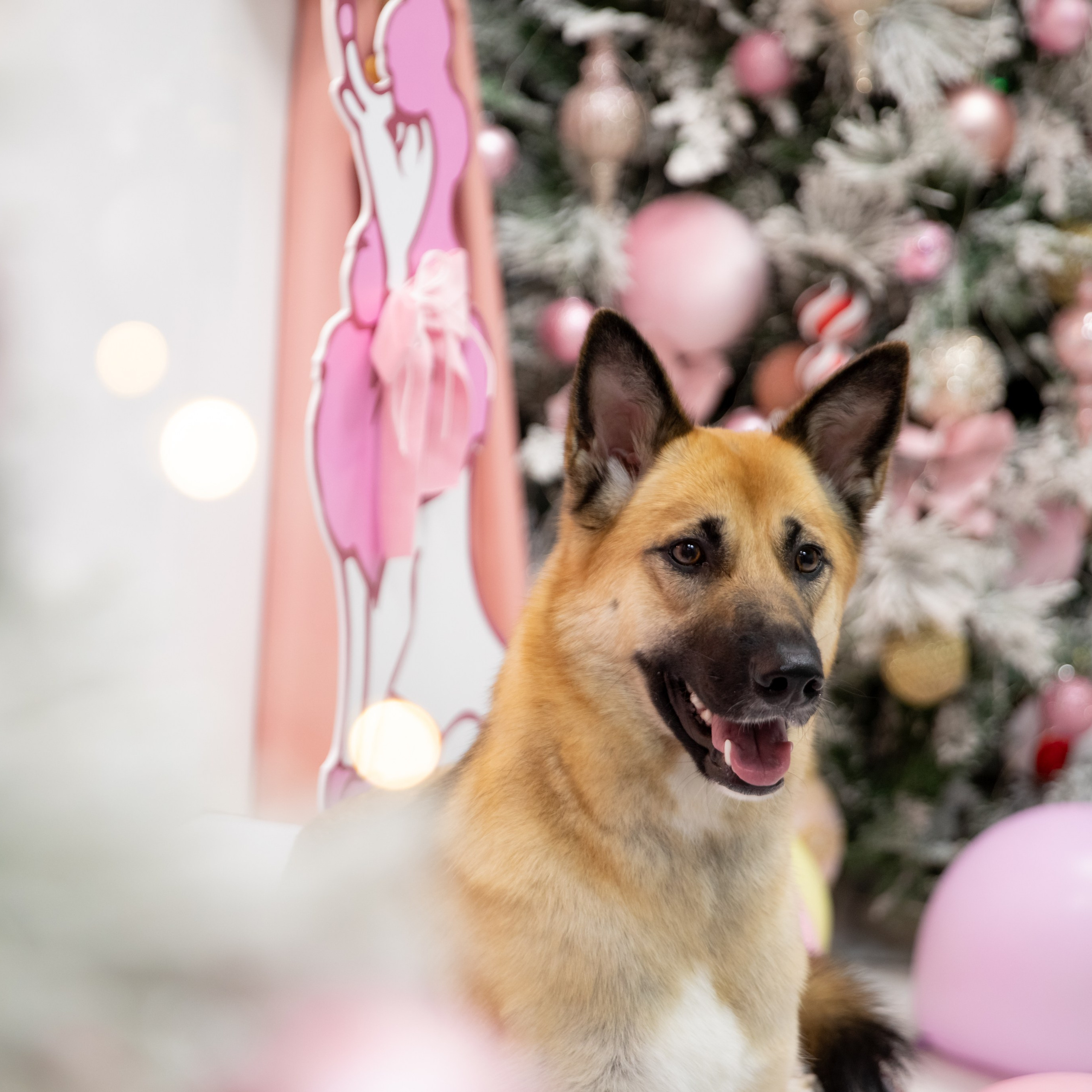 Репортажный, семейный фотограф в Сургуте Оксана Шаяхметова