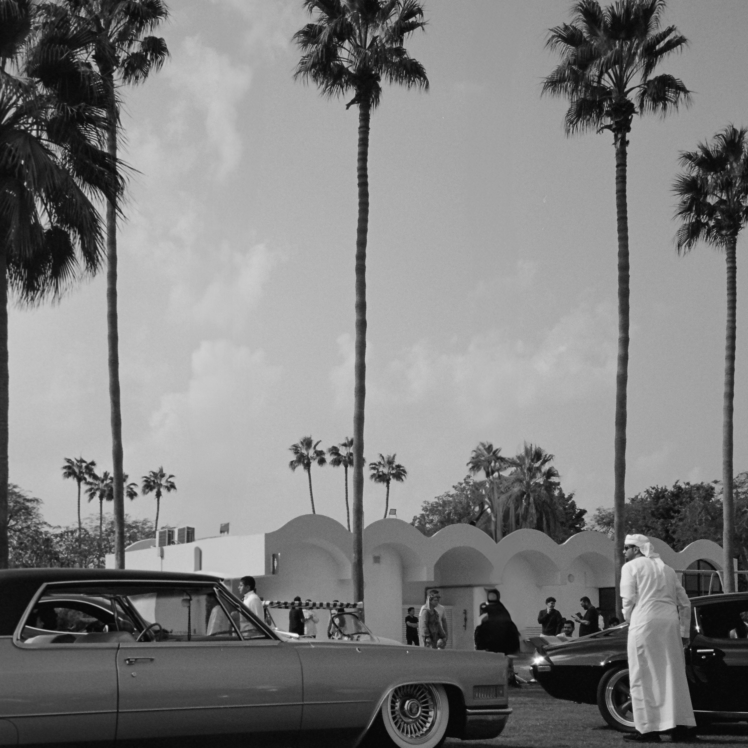 The Grand Picnic (35мм)