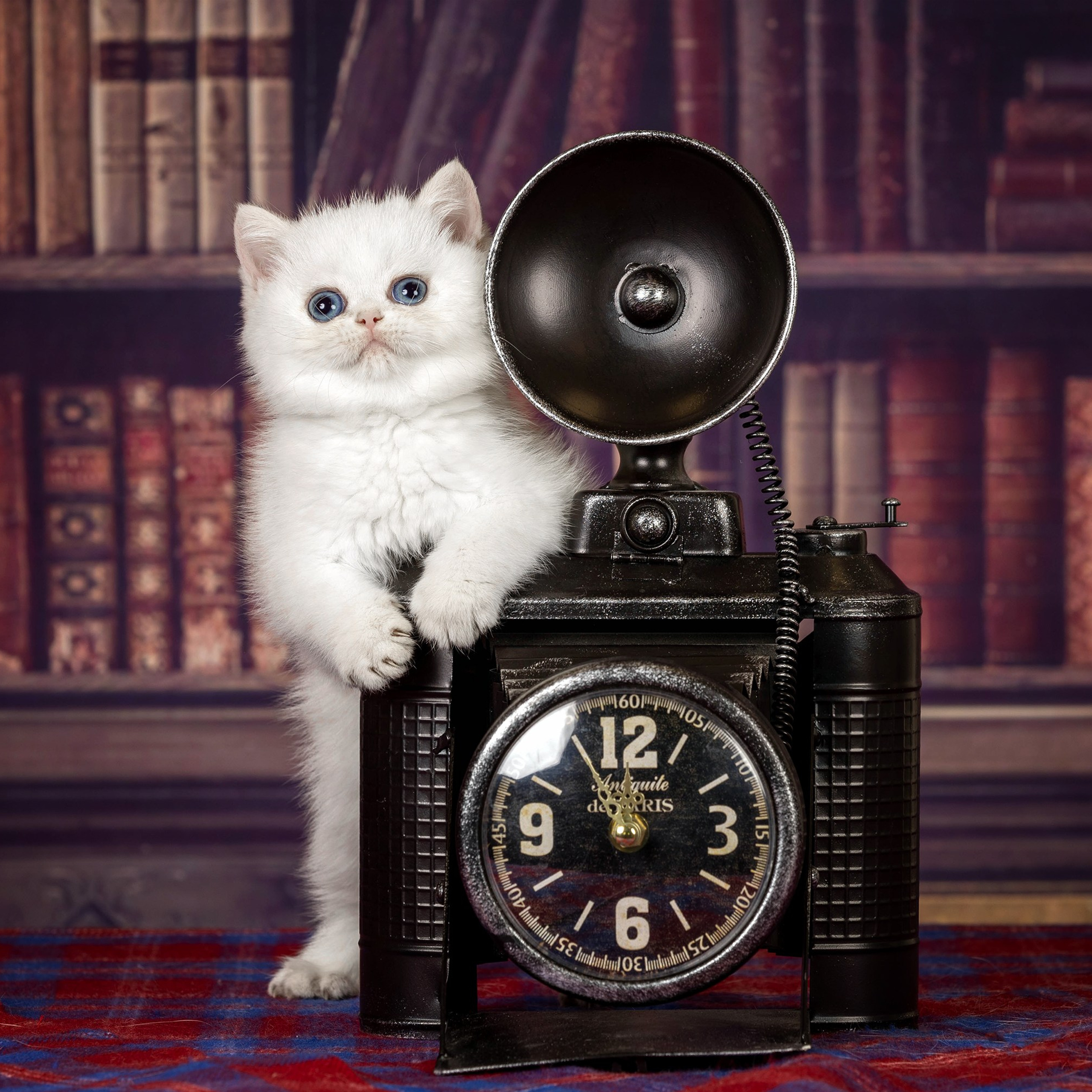 Отзывы. Фотограф-анималист в Омске Екатерина Маричева