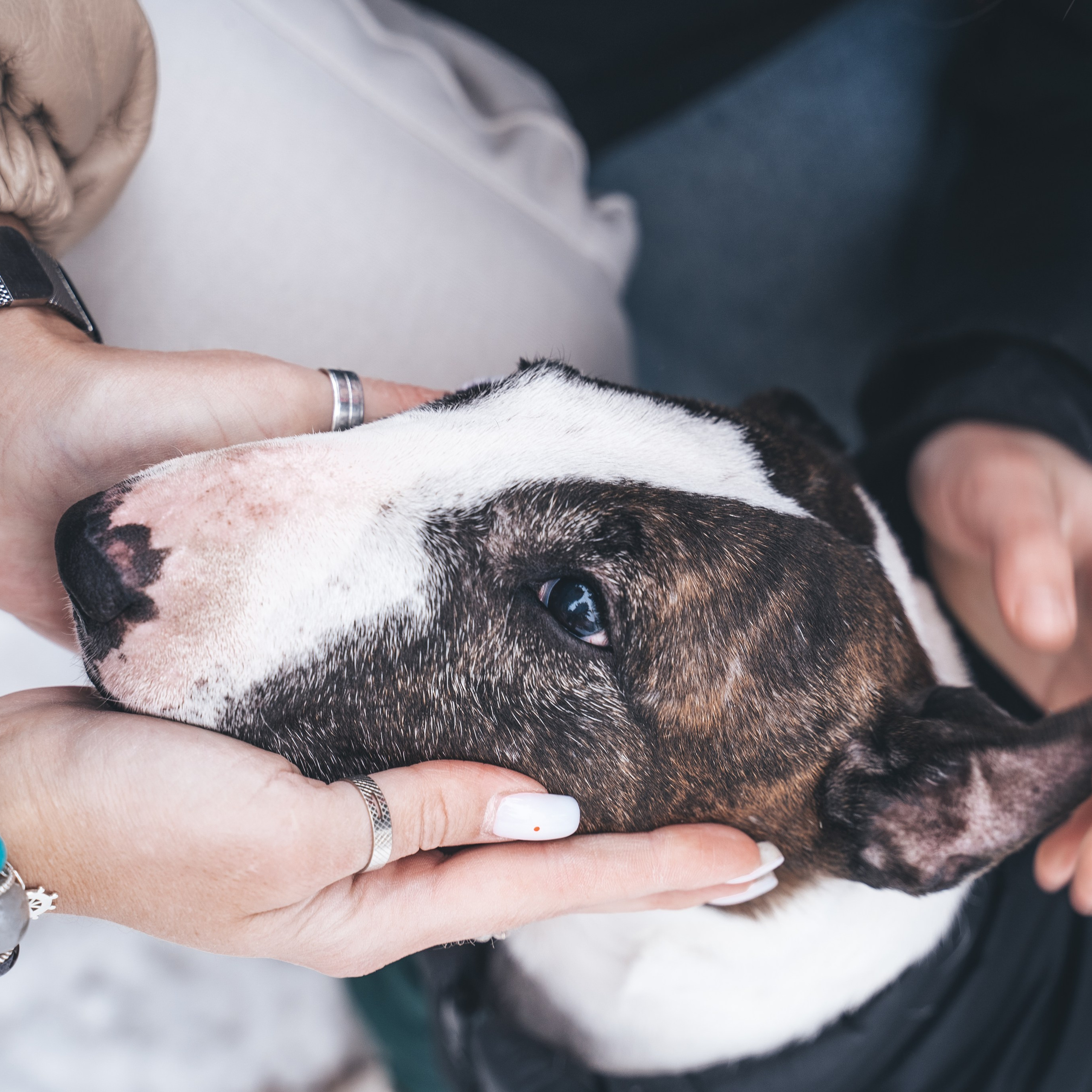 Настя, Лукьян и Эфа