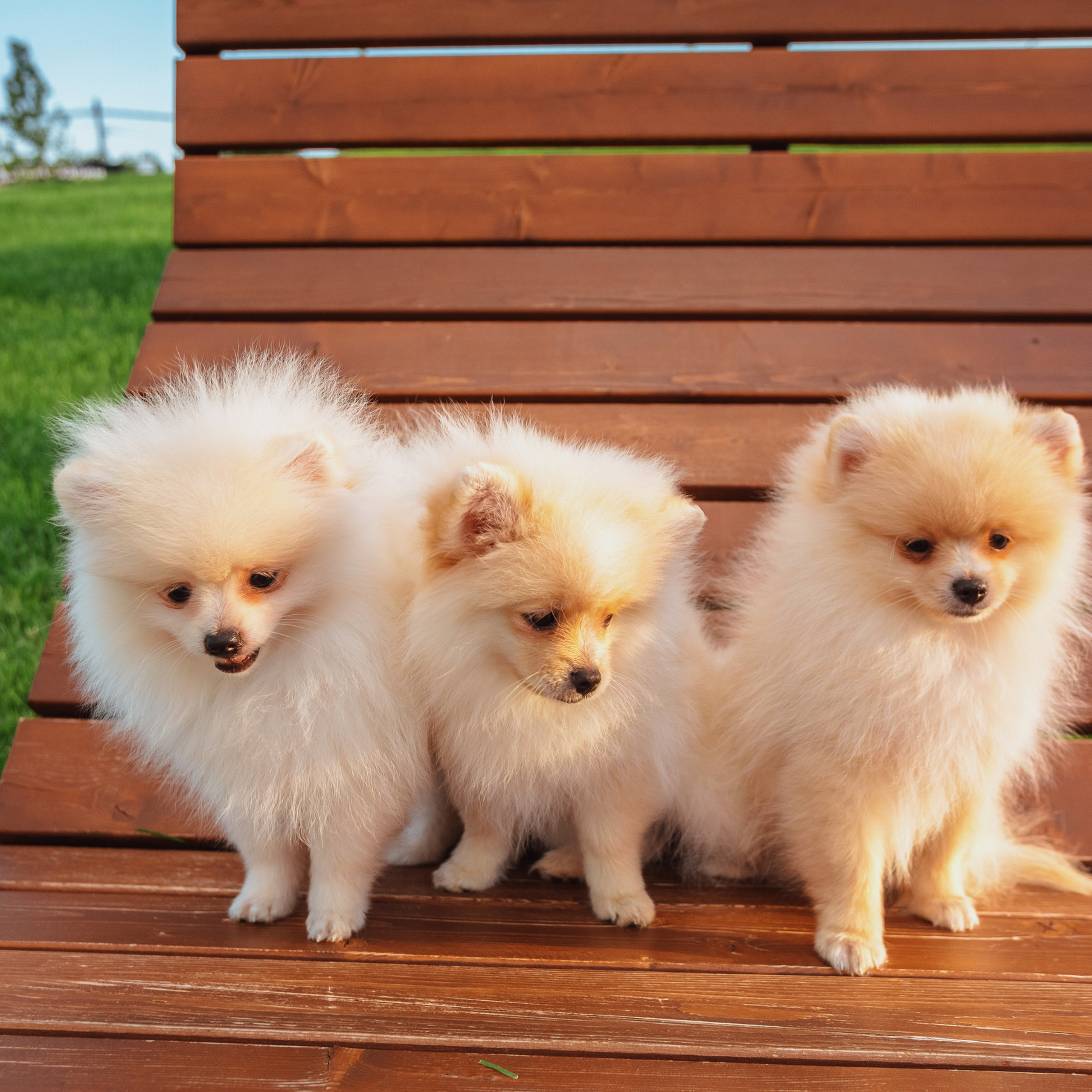 Отзывы. Фотограф Марина Верятинская | Краснодар