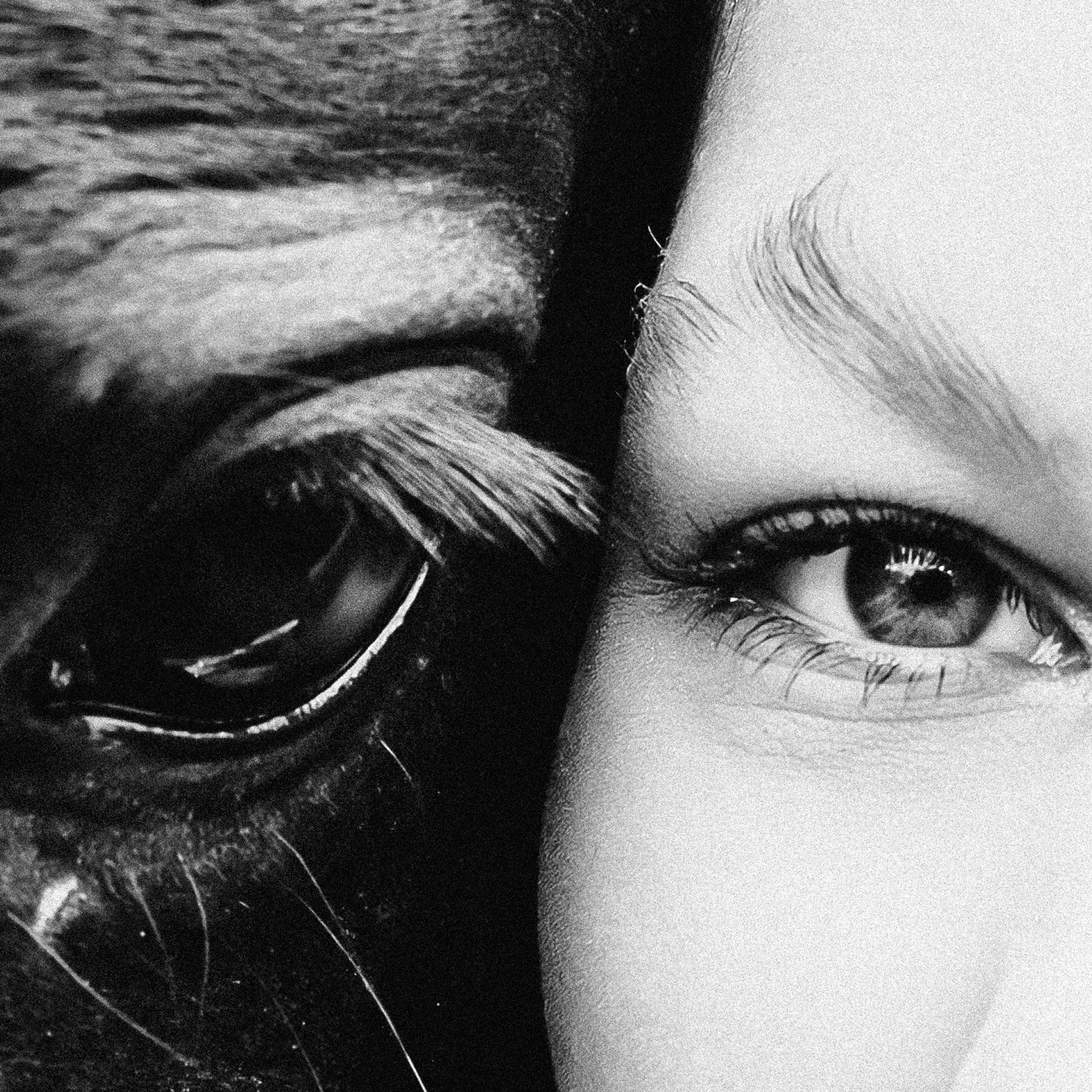 Отзывы. Фотограф Марина Верятинская | Краснодар