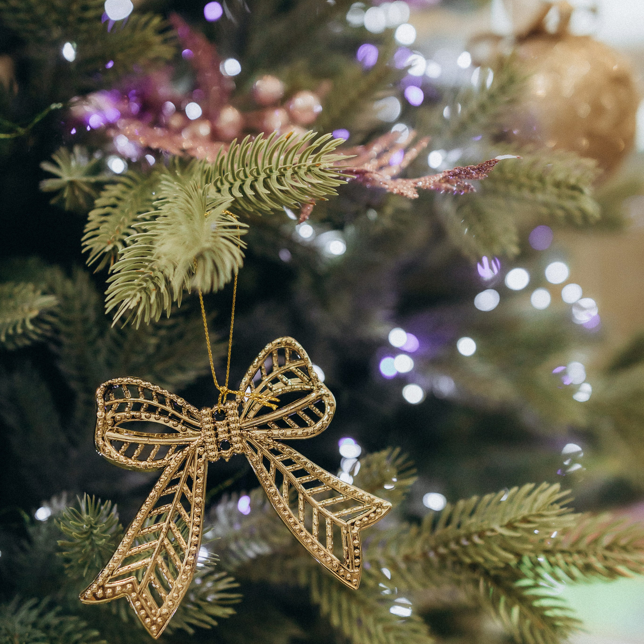 Андрей, Катя, Ваня и Полина. Семейный фотограф и детский фотограф в Волгограде Алеся Бутакова — дет