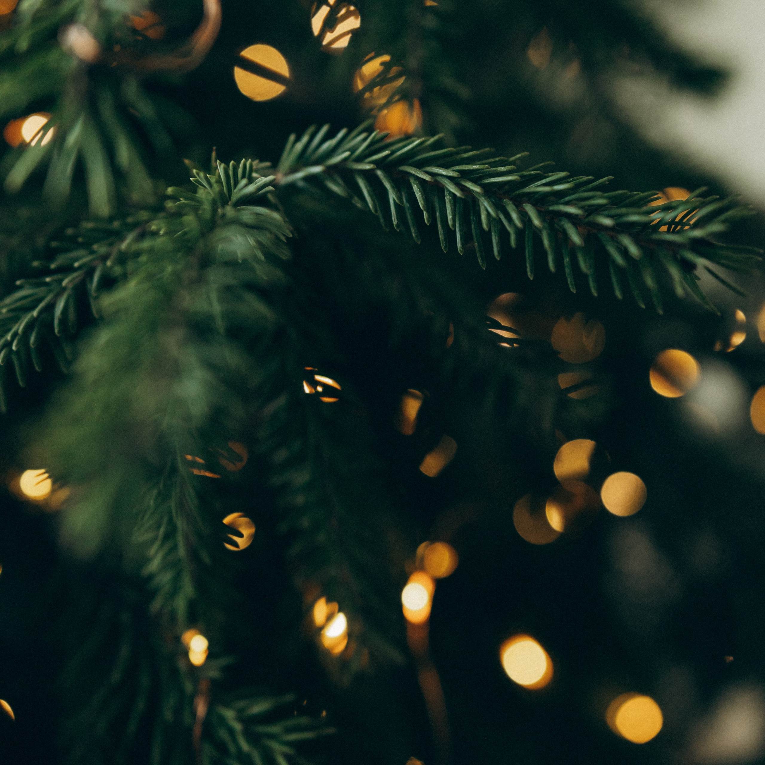 Отзывы о фотографе Алеся Бутакова. Семейный фотограф и детский фотограф в Волгограде Алеся Бутакова — дет