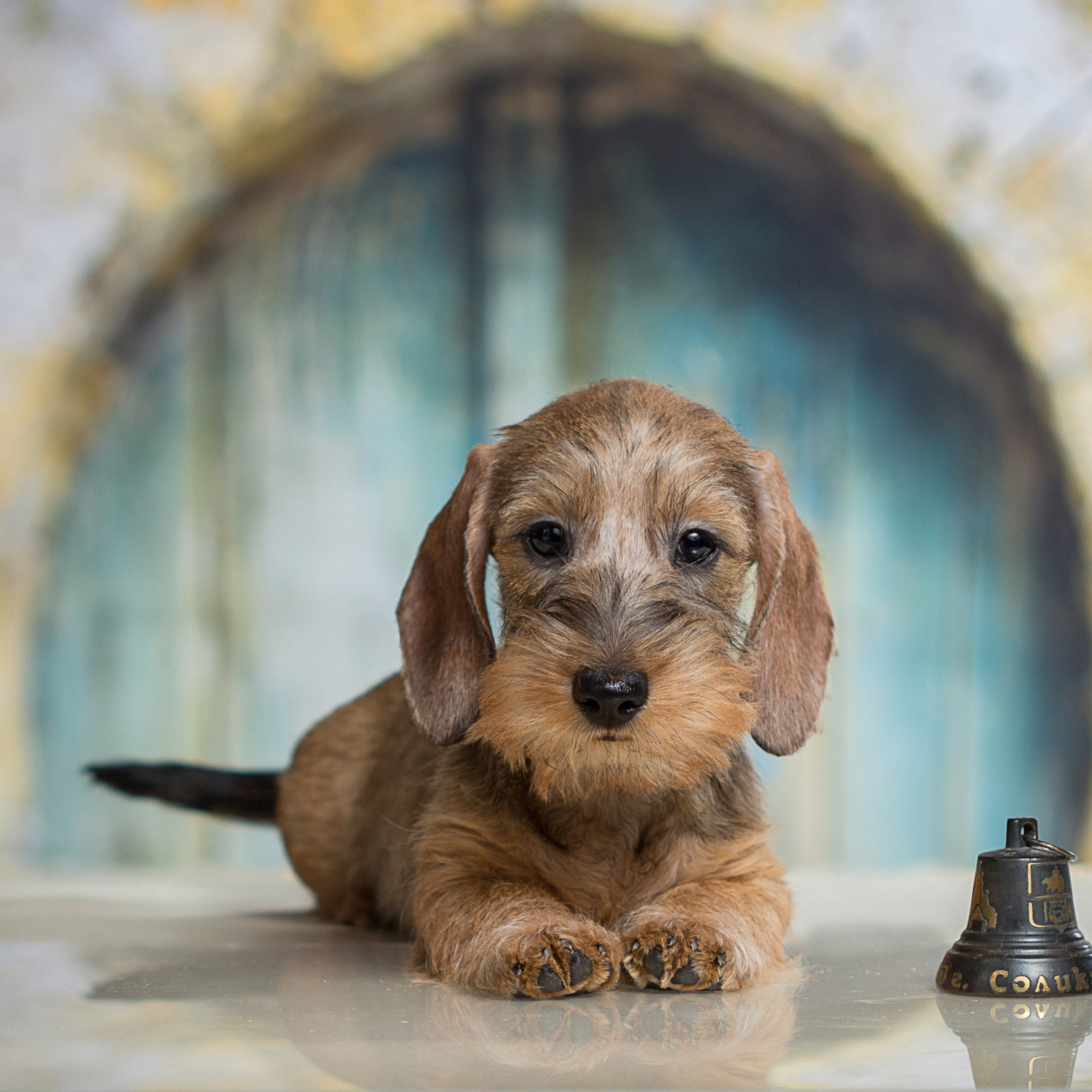 Евгения Хлебникова