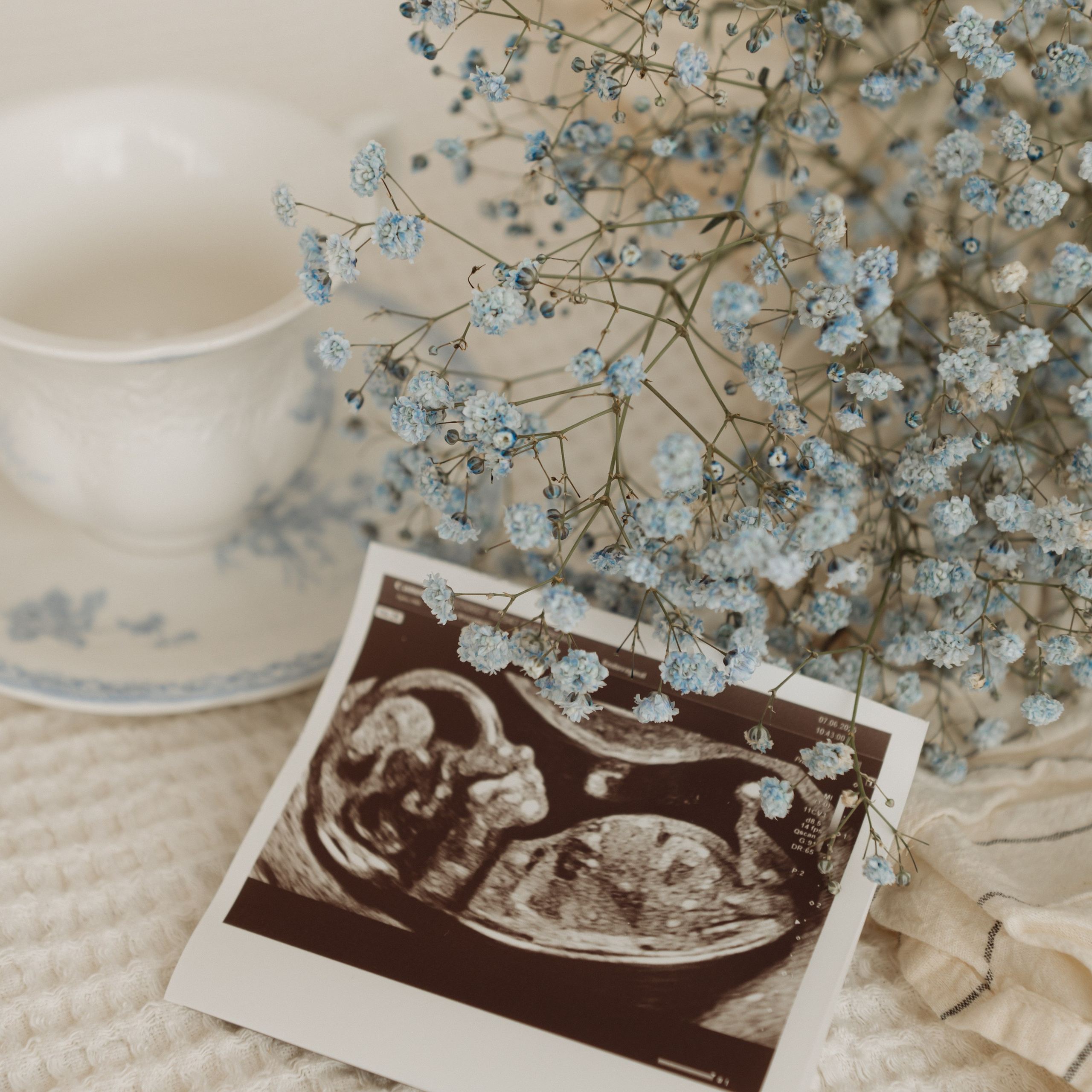 Отзывы. Свадебный, портретный, фотограф беременности в Нижнем Новгороде Алина Зиновьева