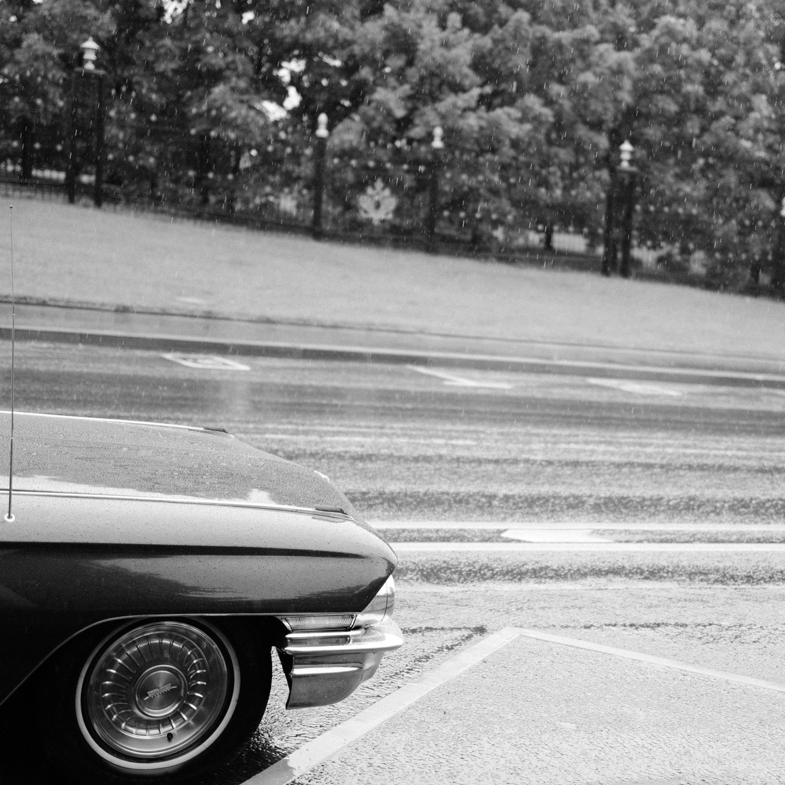 ОТЗЫВЫ. Свадебный фотограф Москва Ирина Писарева