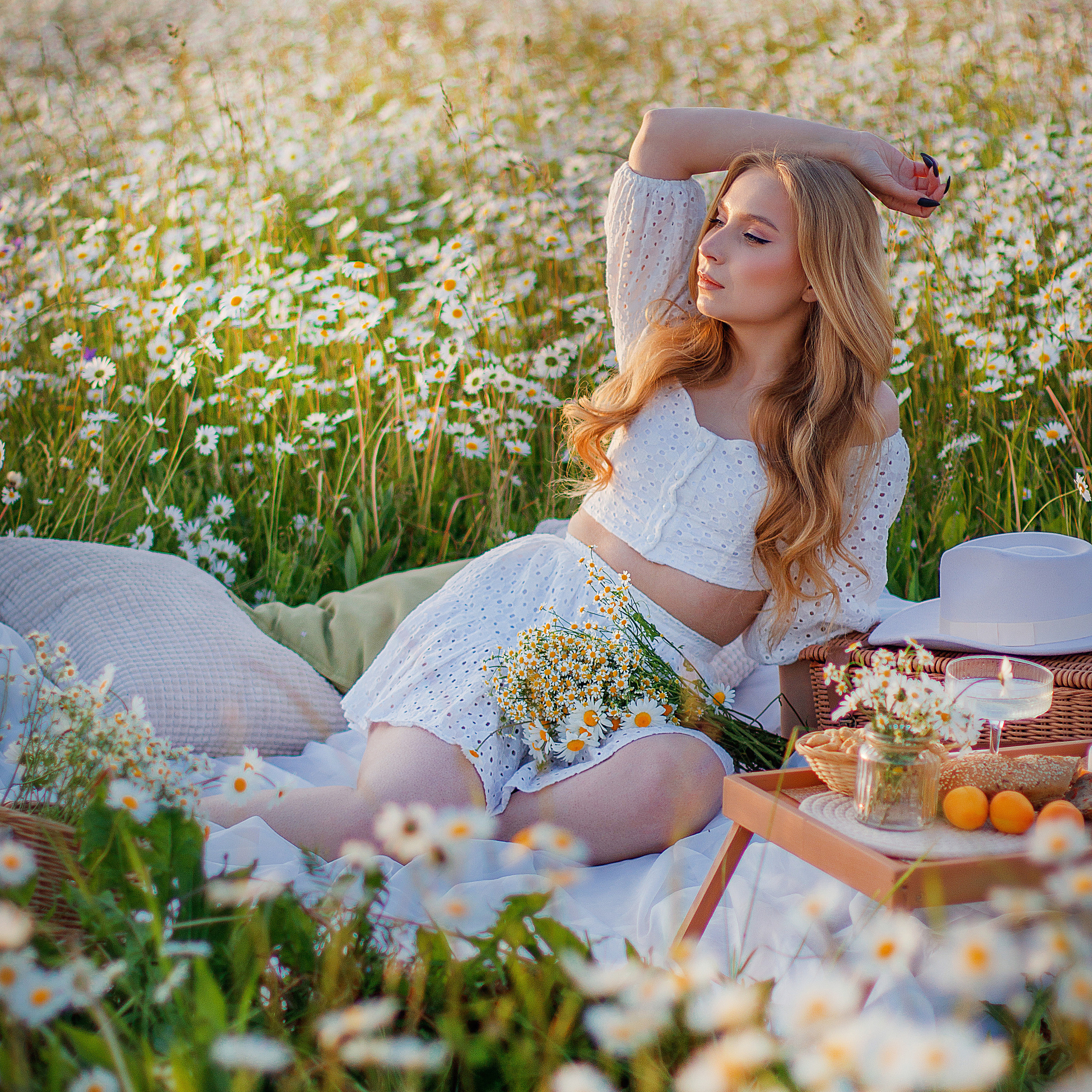 Ромашковое поле