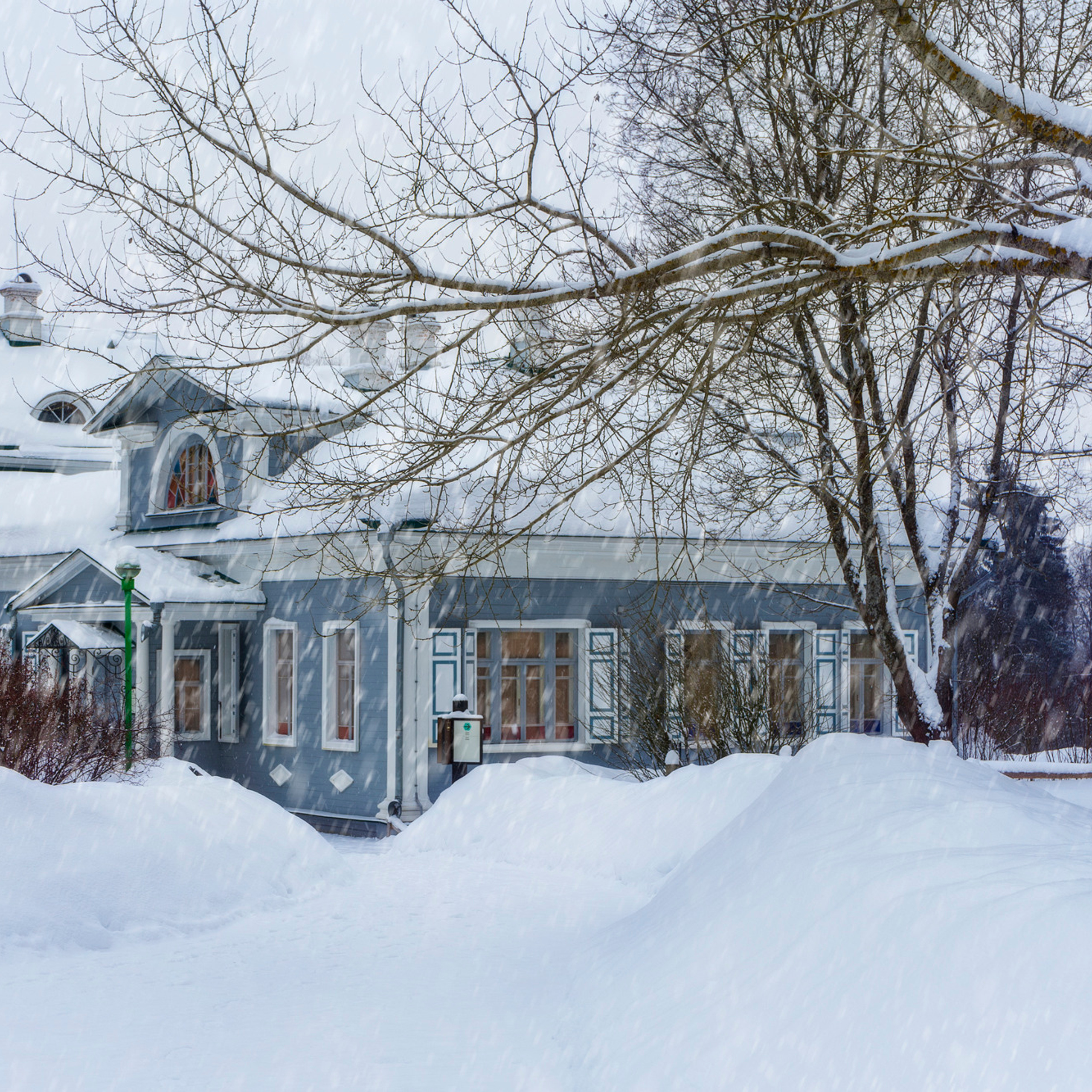 Зима в Шахматова