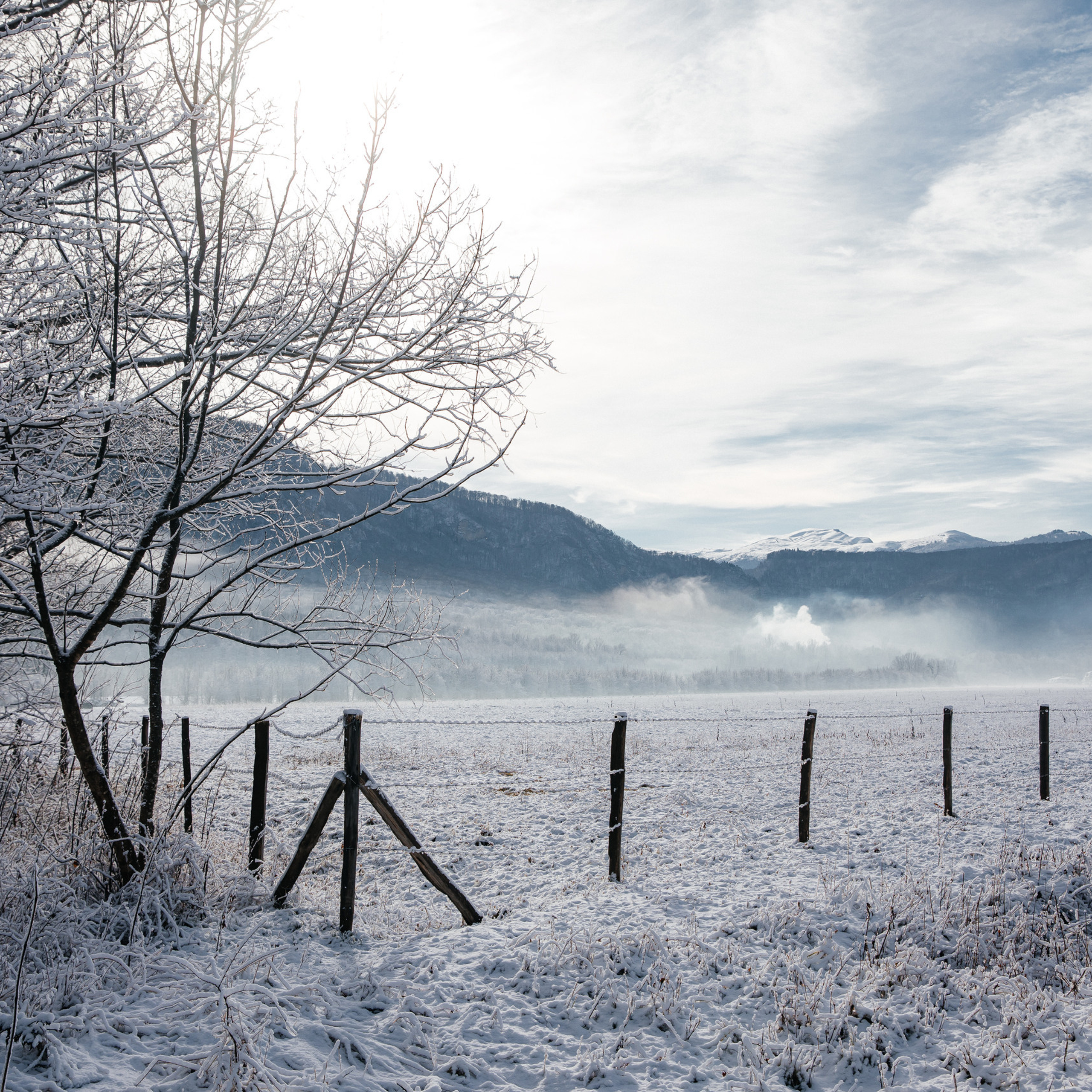 Отзывы. Фотограф Маргарита Никишина
